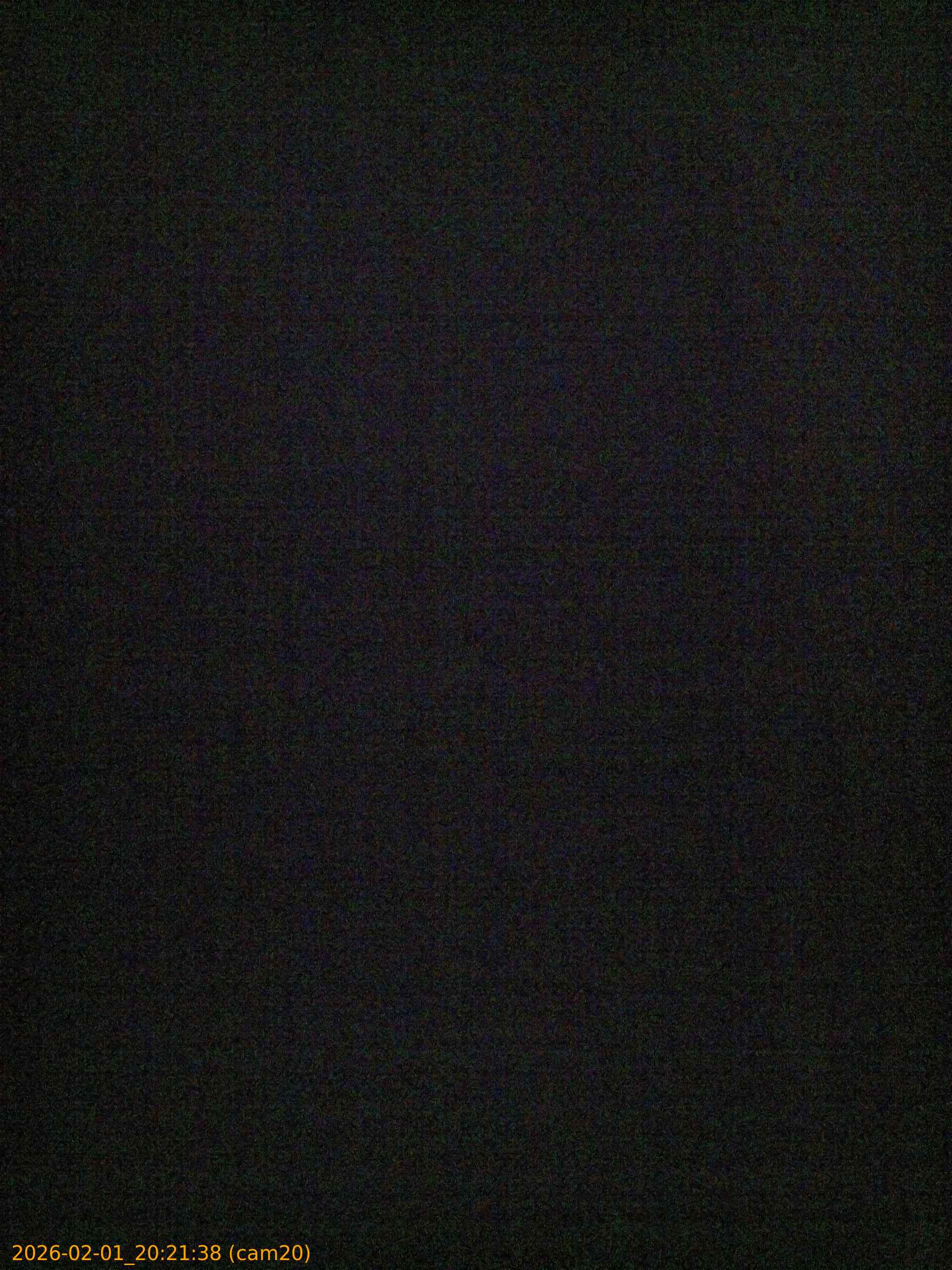 thumbnail_20260201202138