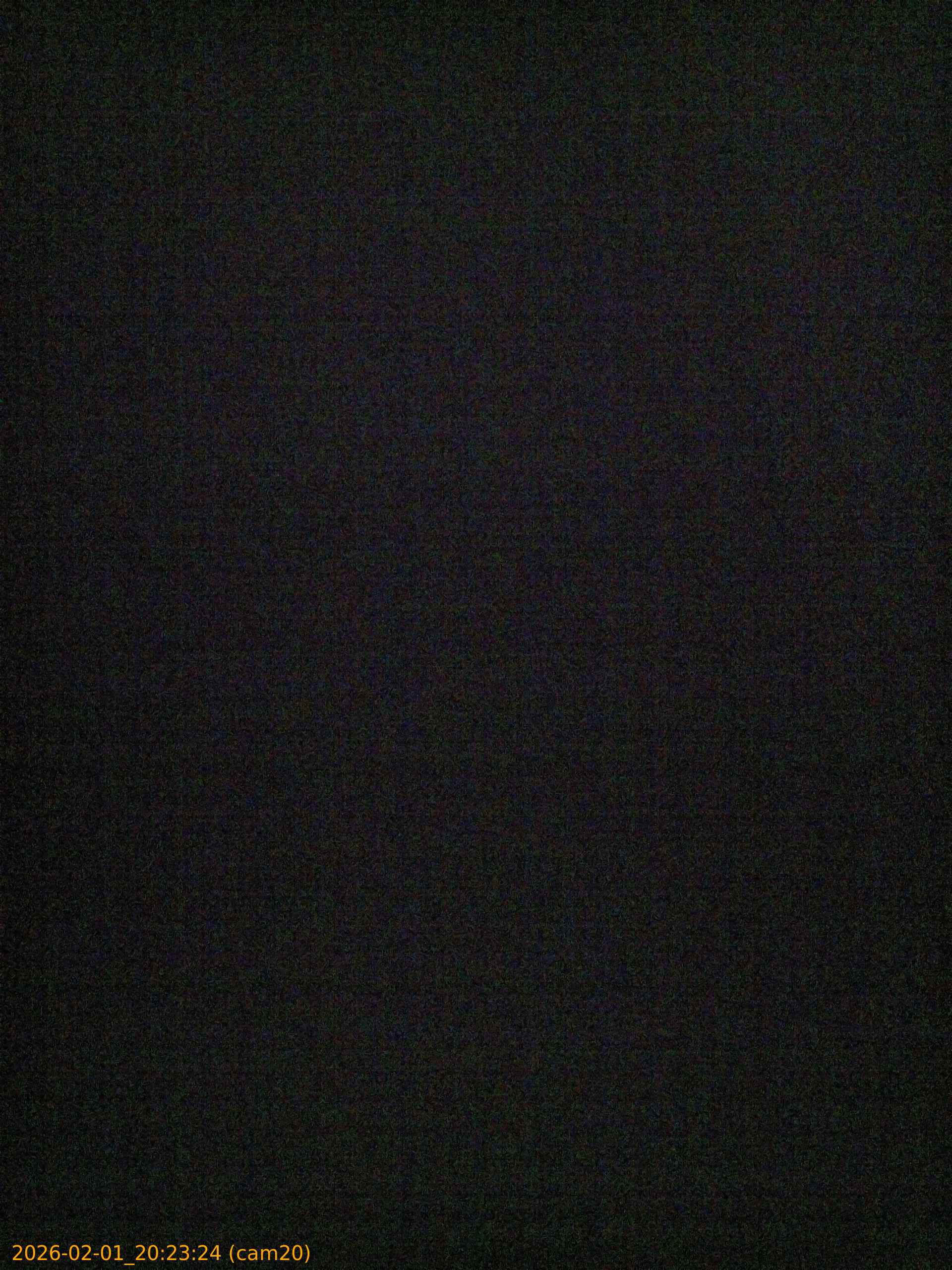 thumbnail_20260201202324