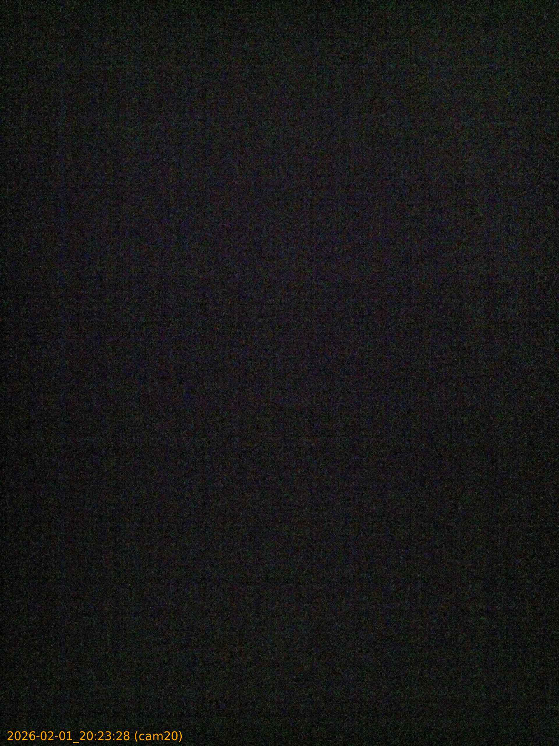 thumbnail_20260201202328