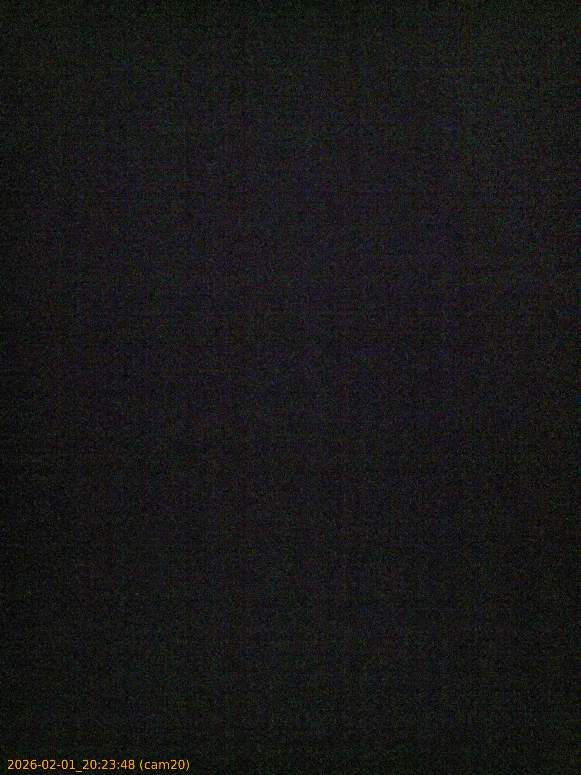 thumbnail_20260201202348