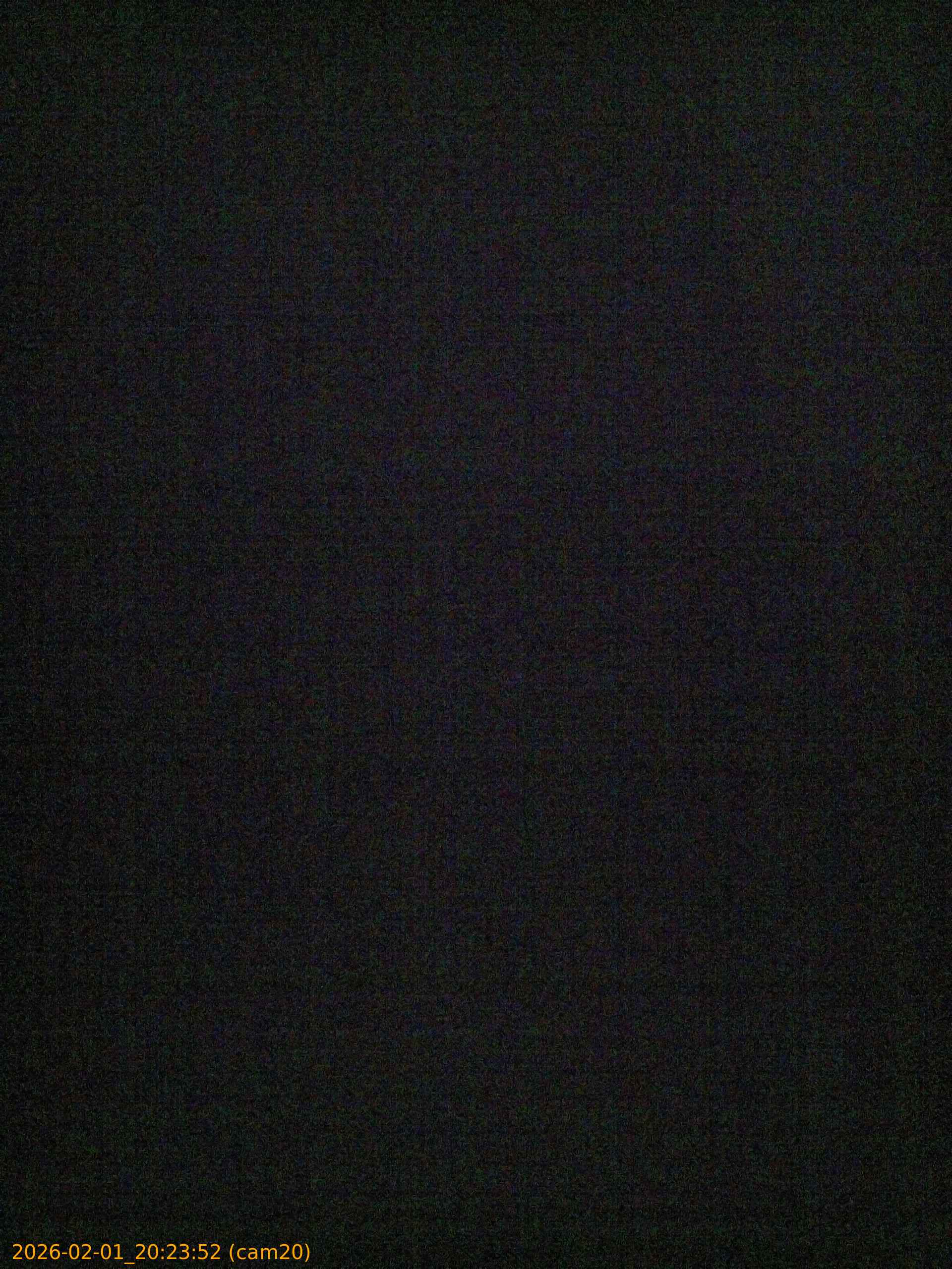 thumbnail_20260201202352