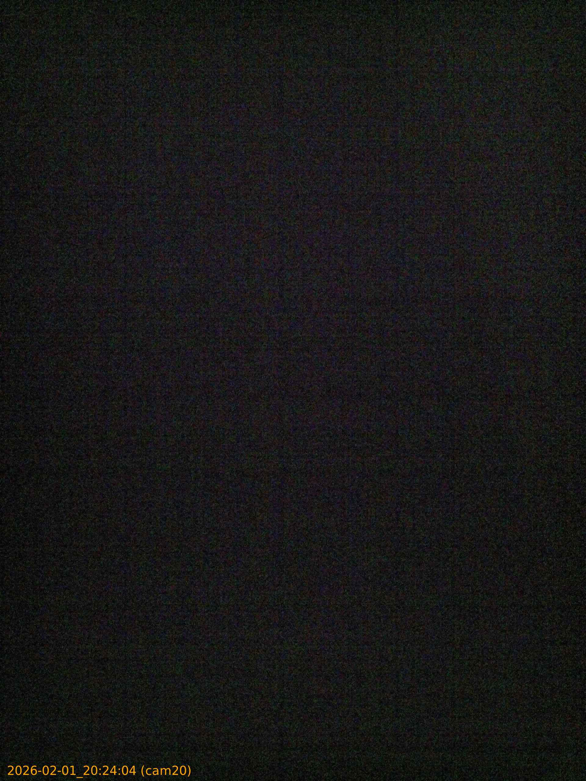 thumbnail_20260201202404