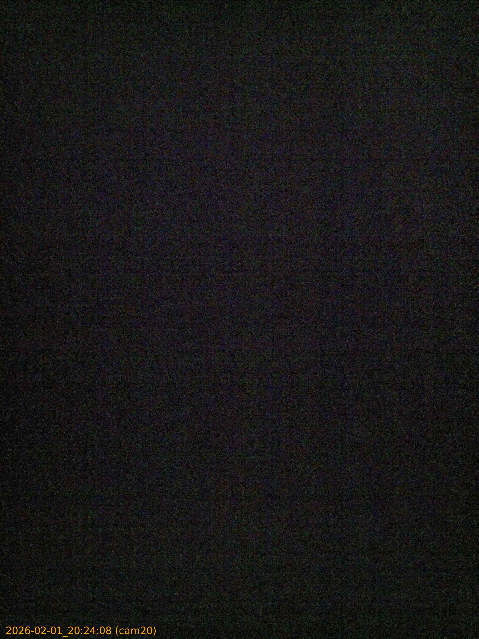 thumbnail_20260201202408