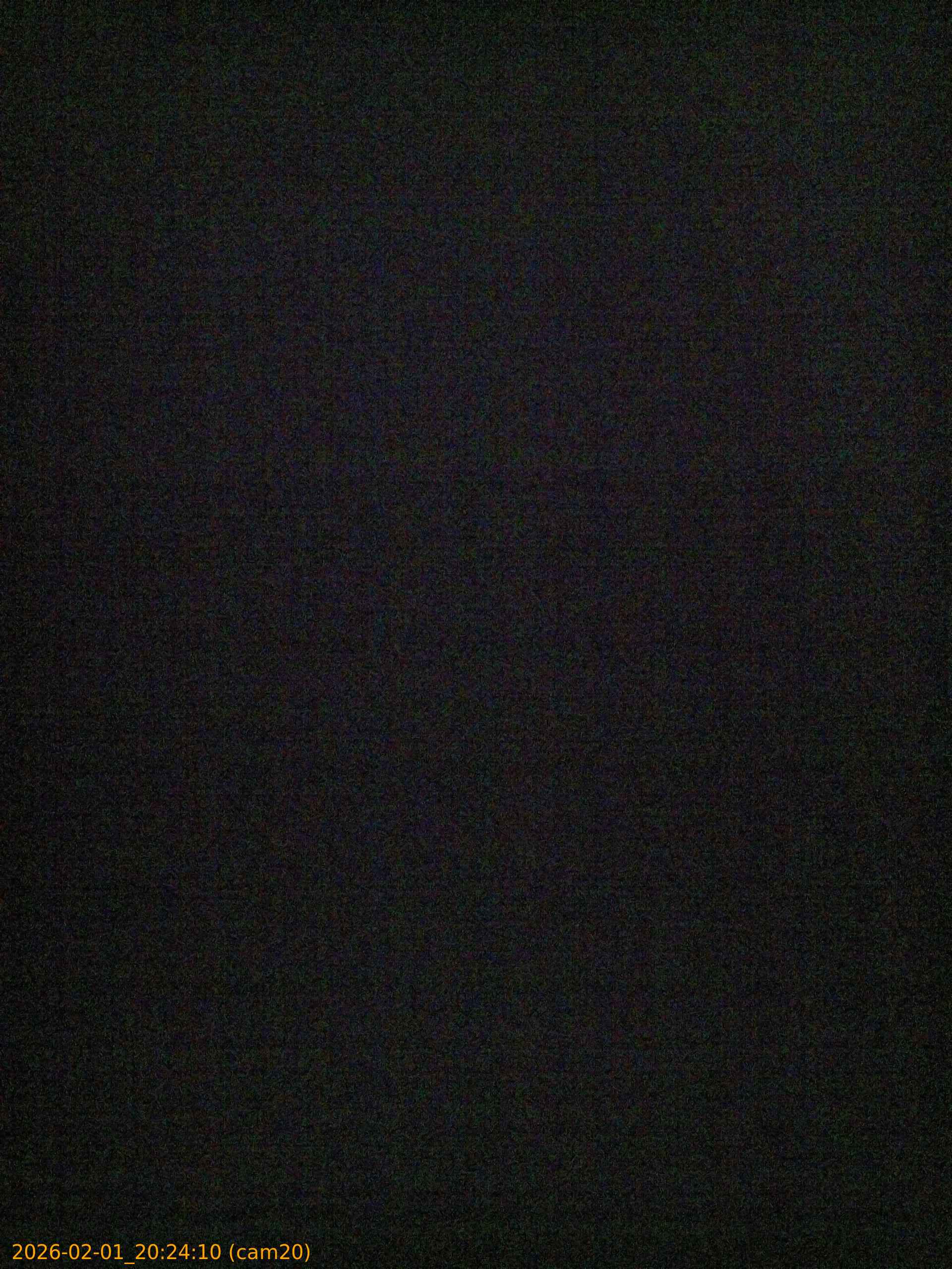 thumbnail_20260201202410