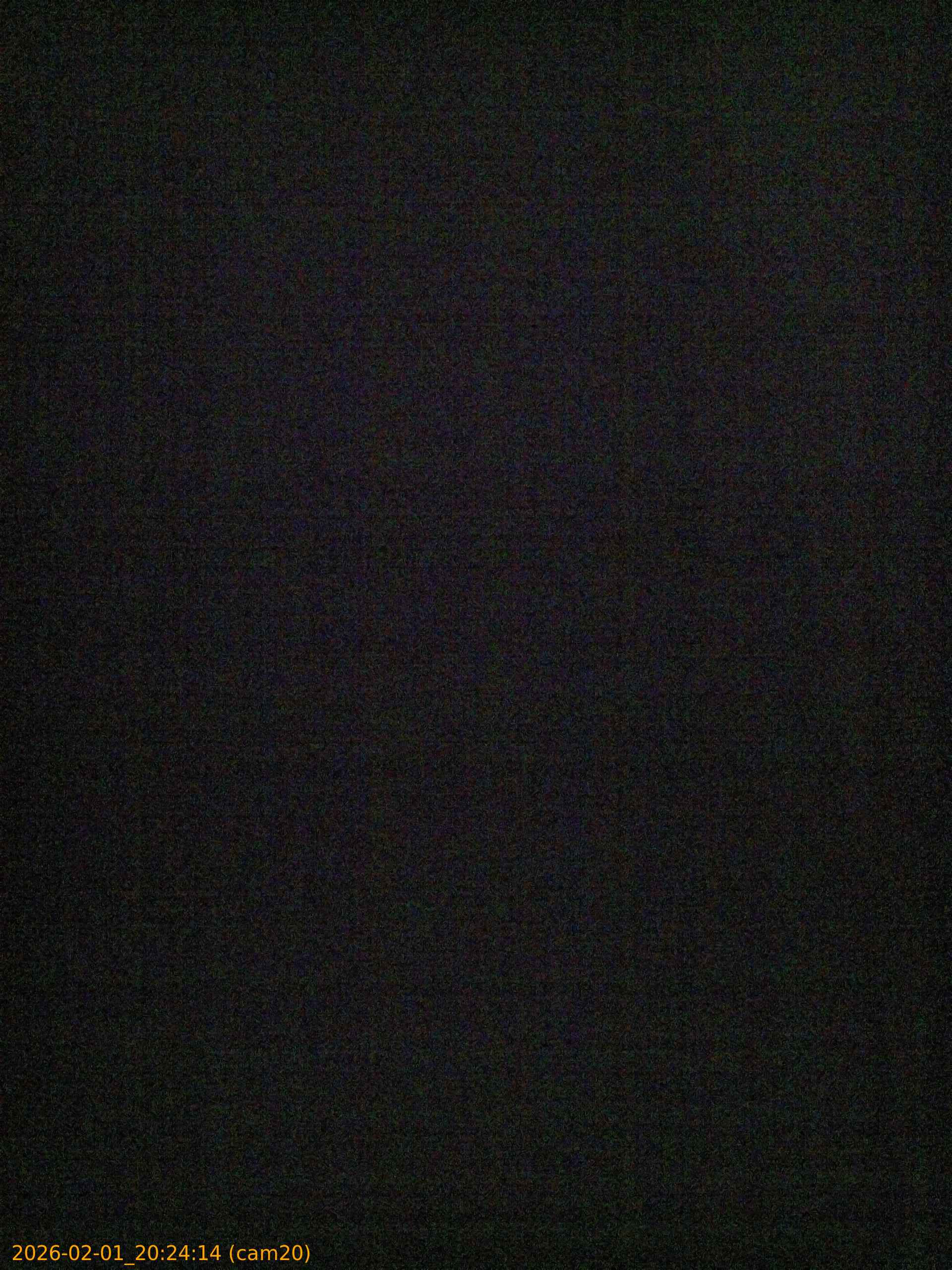 thumbnail_20260201202414