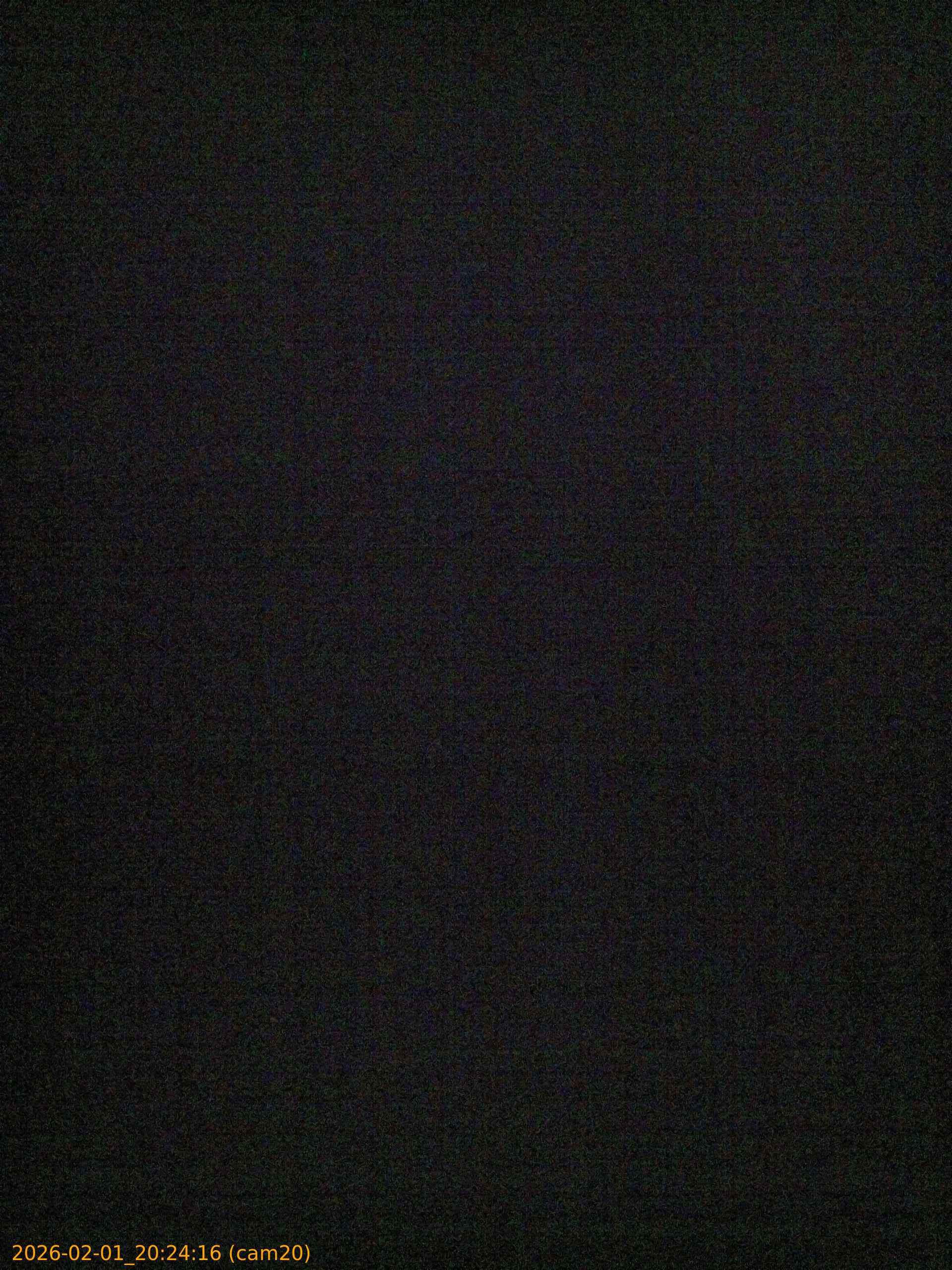 thumbnail_20260201202416