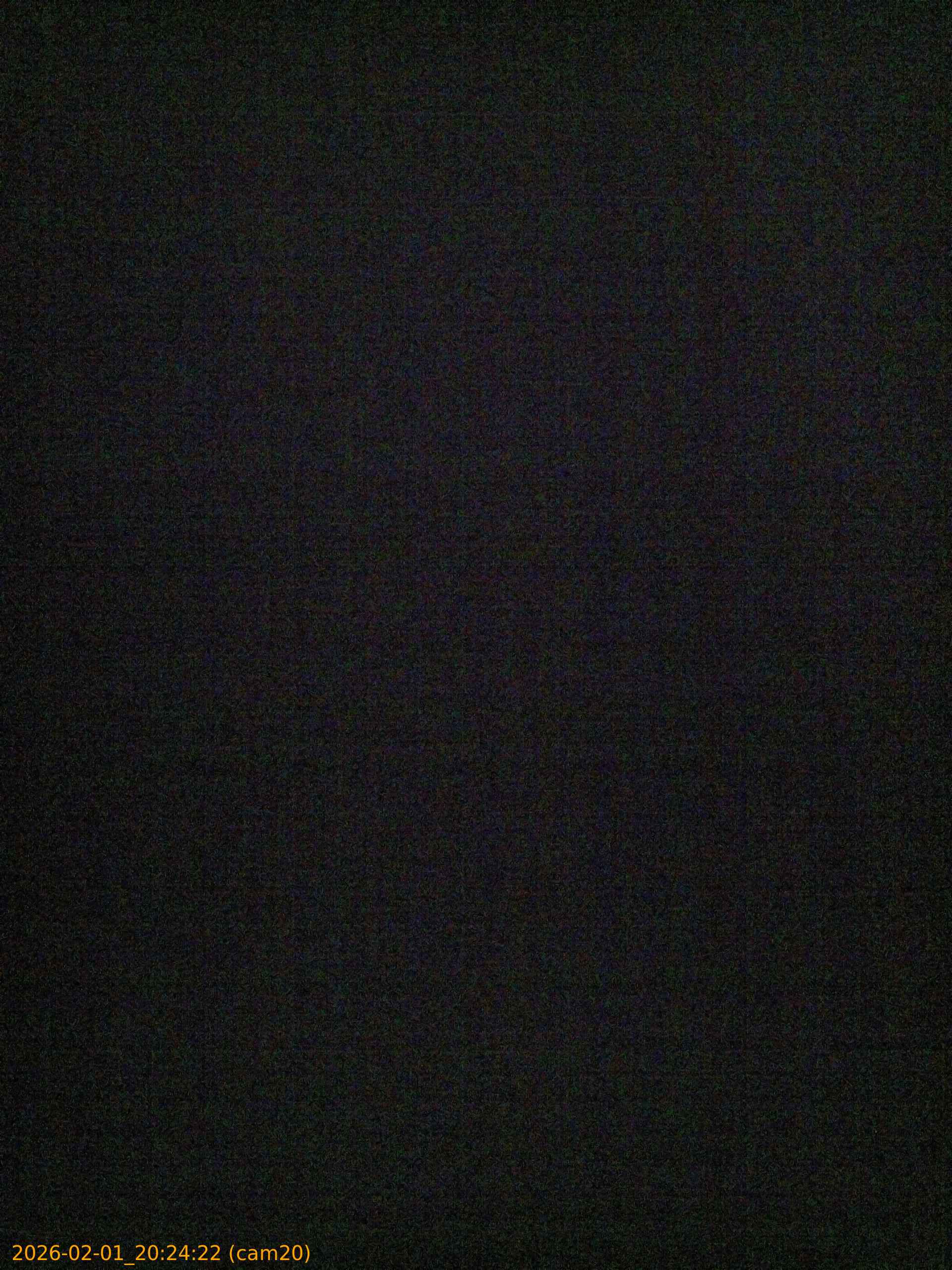 thumbnail_20260201202422