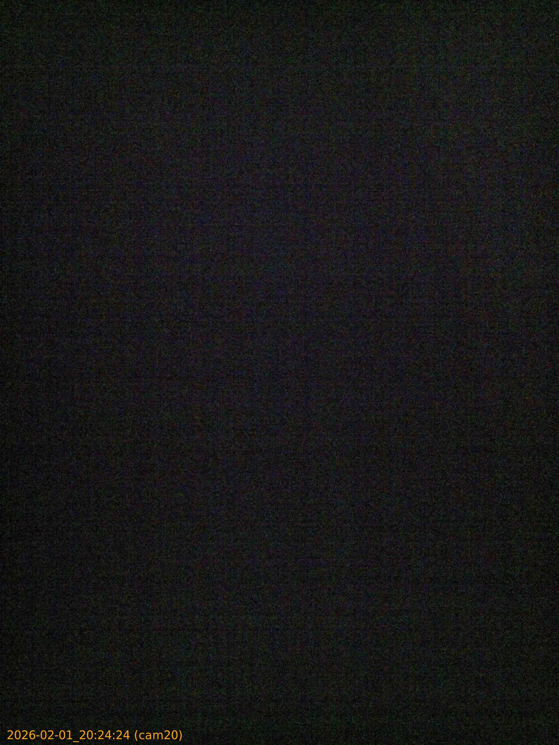 thumbnail_20260201202424