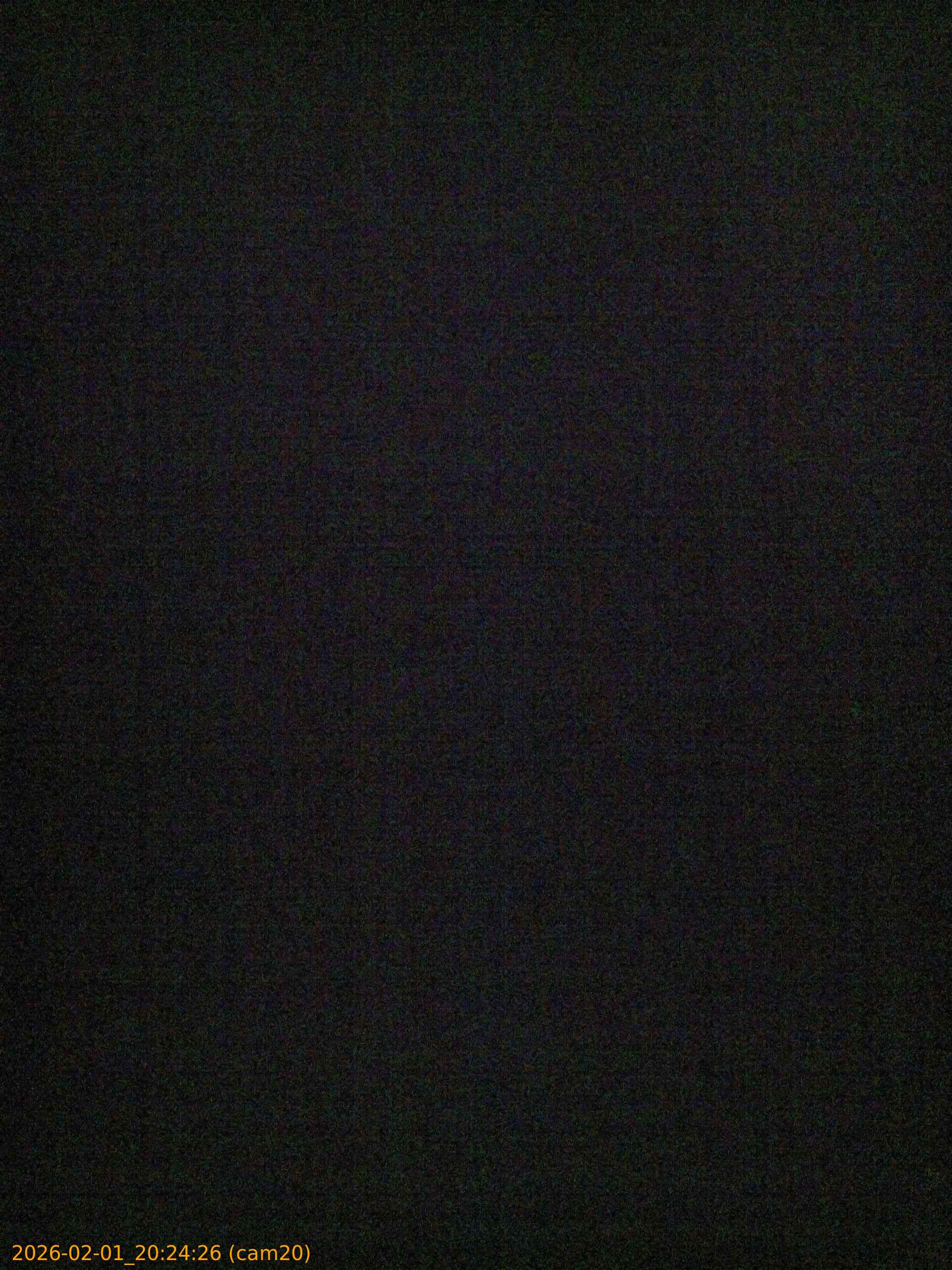 thumbnail_20260201202426