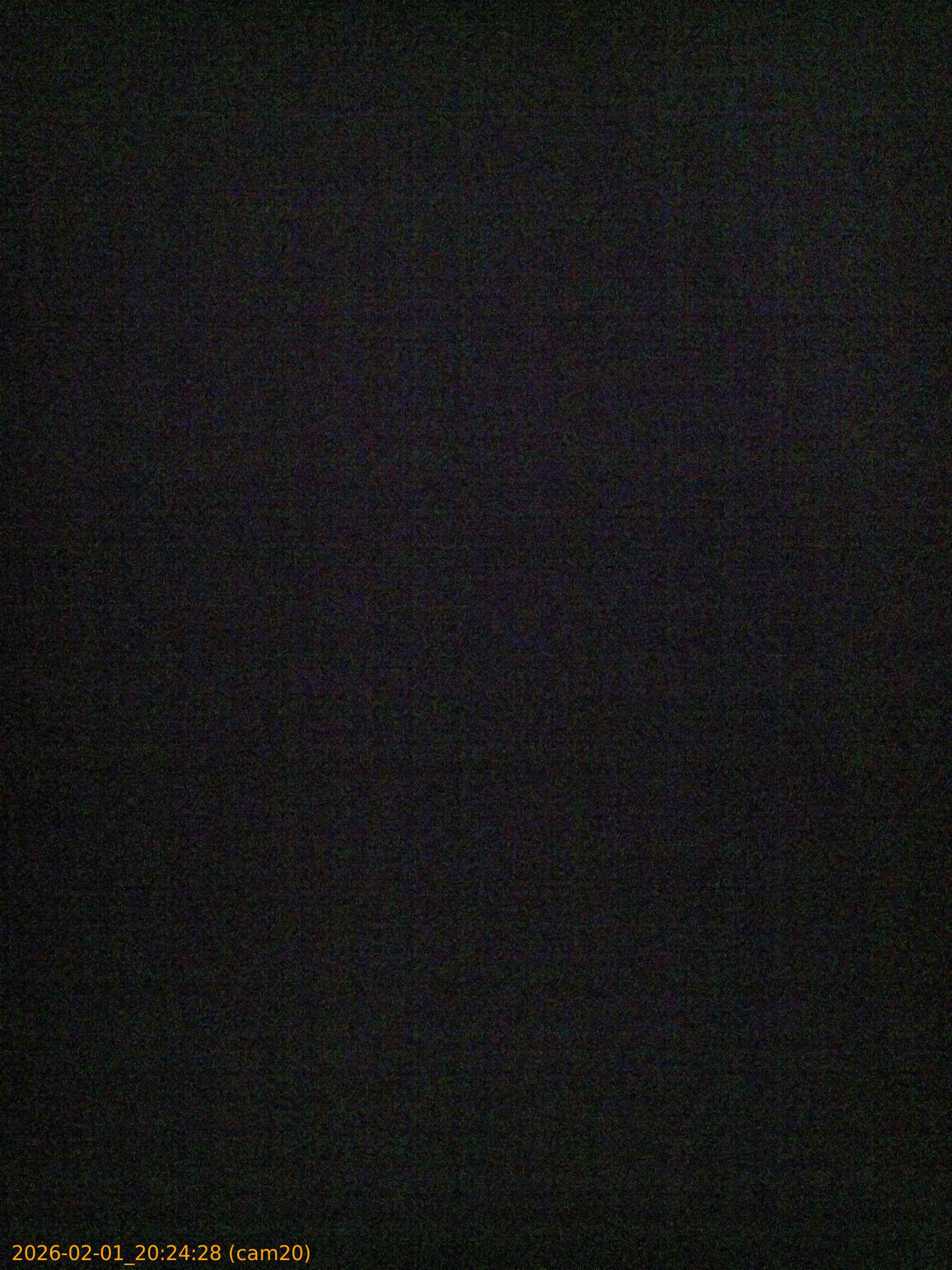 thumbnail_20260201202428