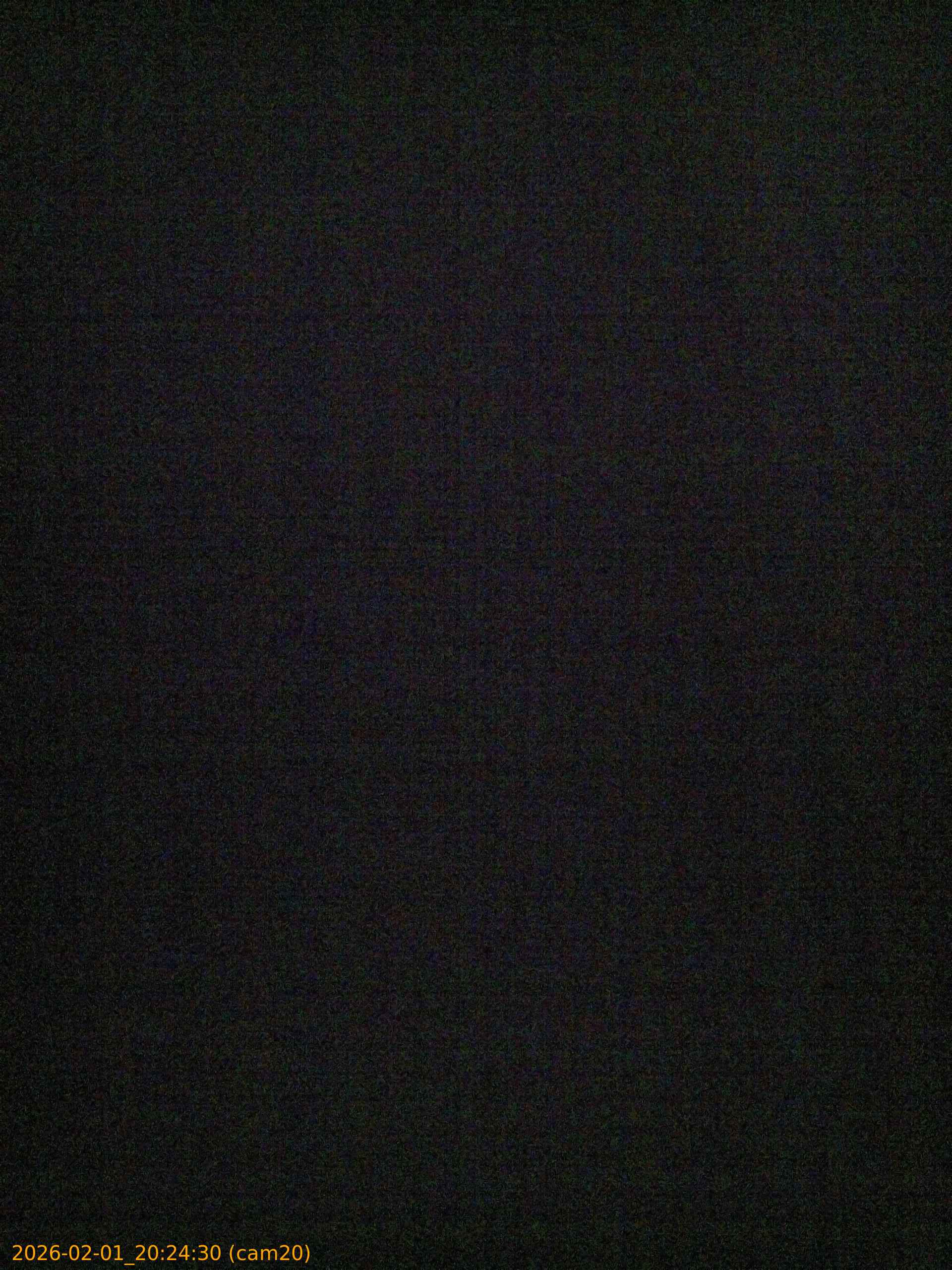 thumbnail_20260201202430