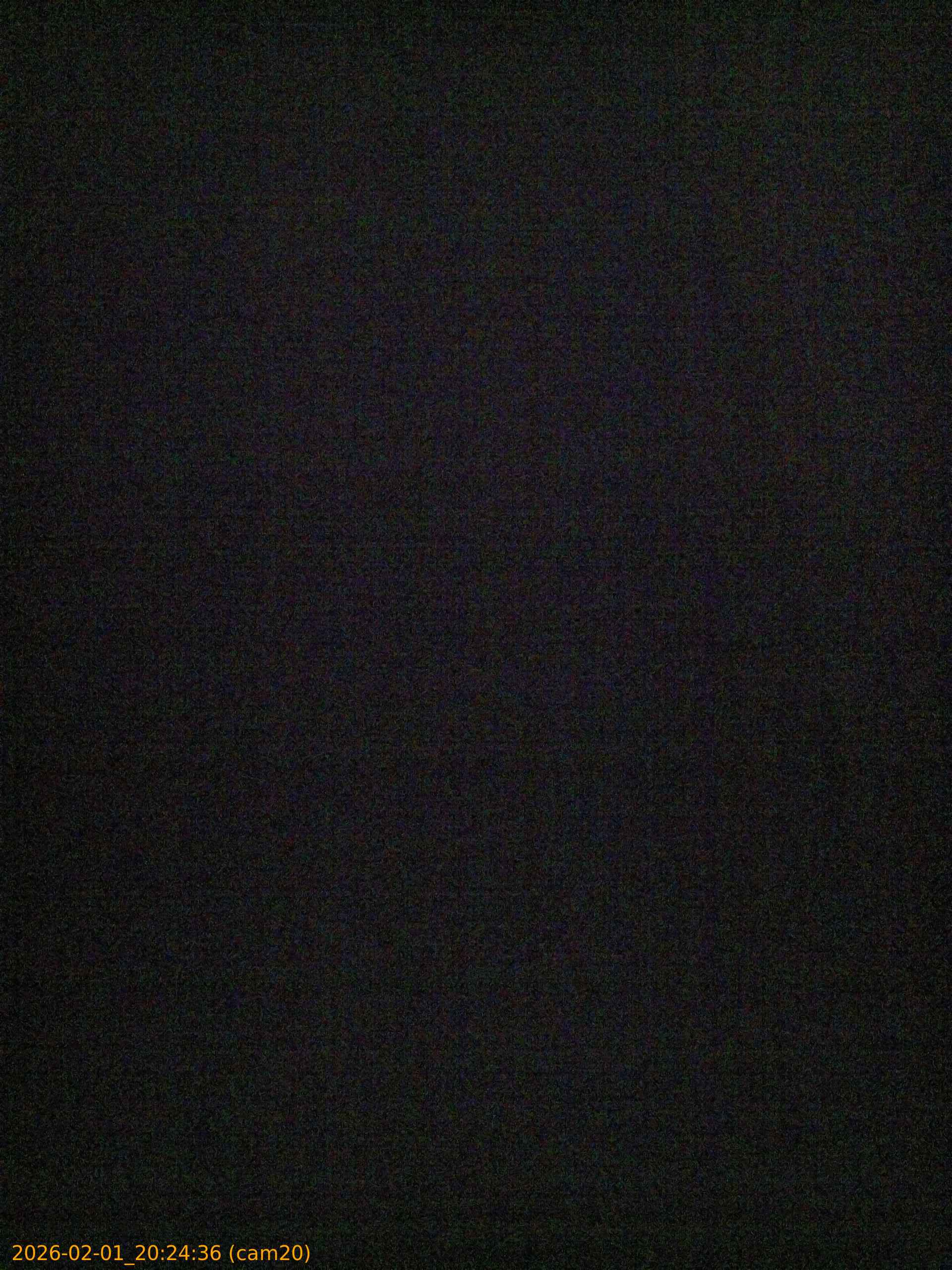 thumbnail_20260201202436