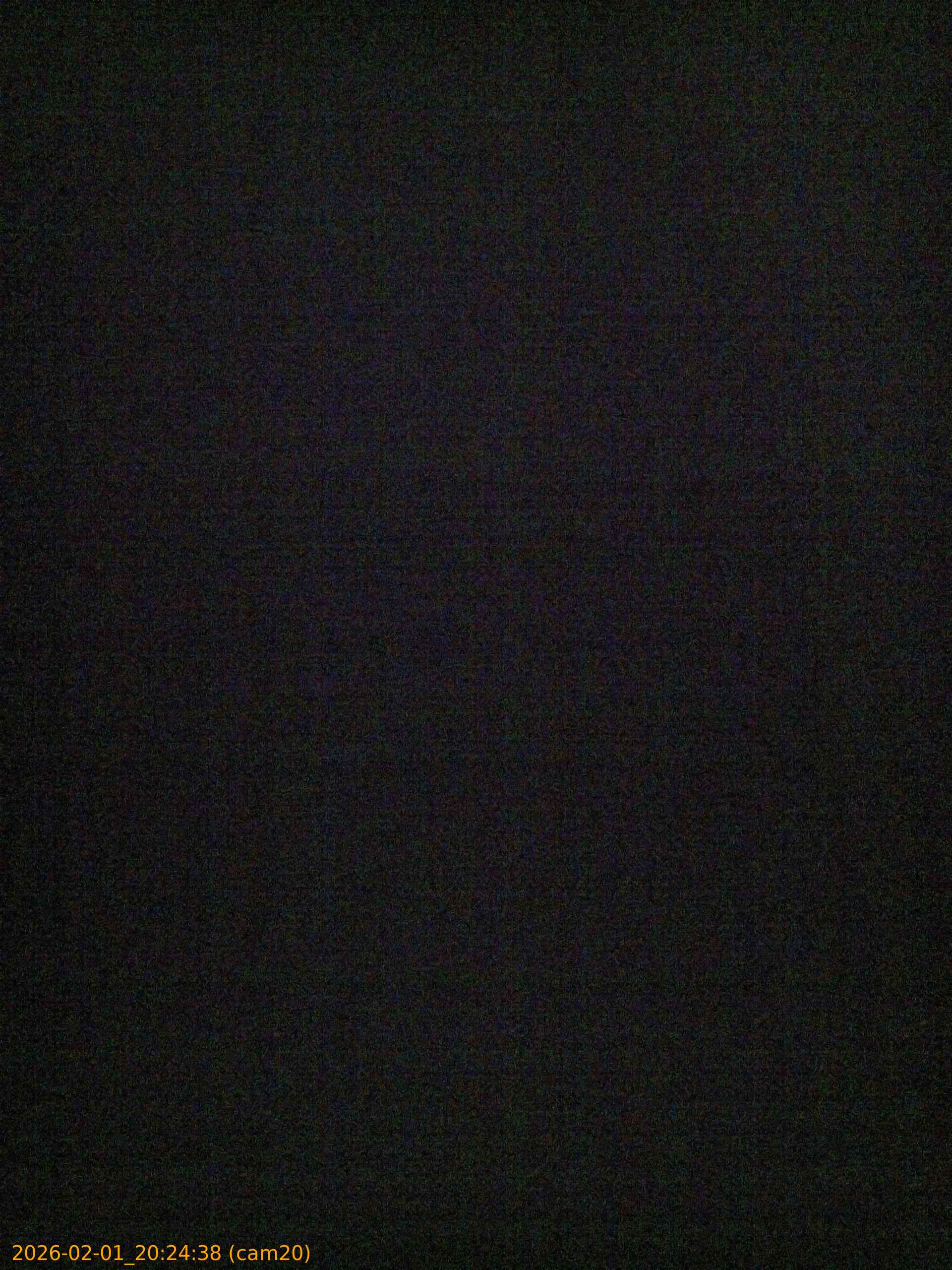 thumbnail_20260201202438