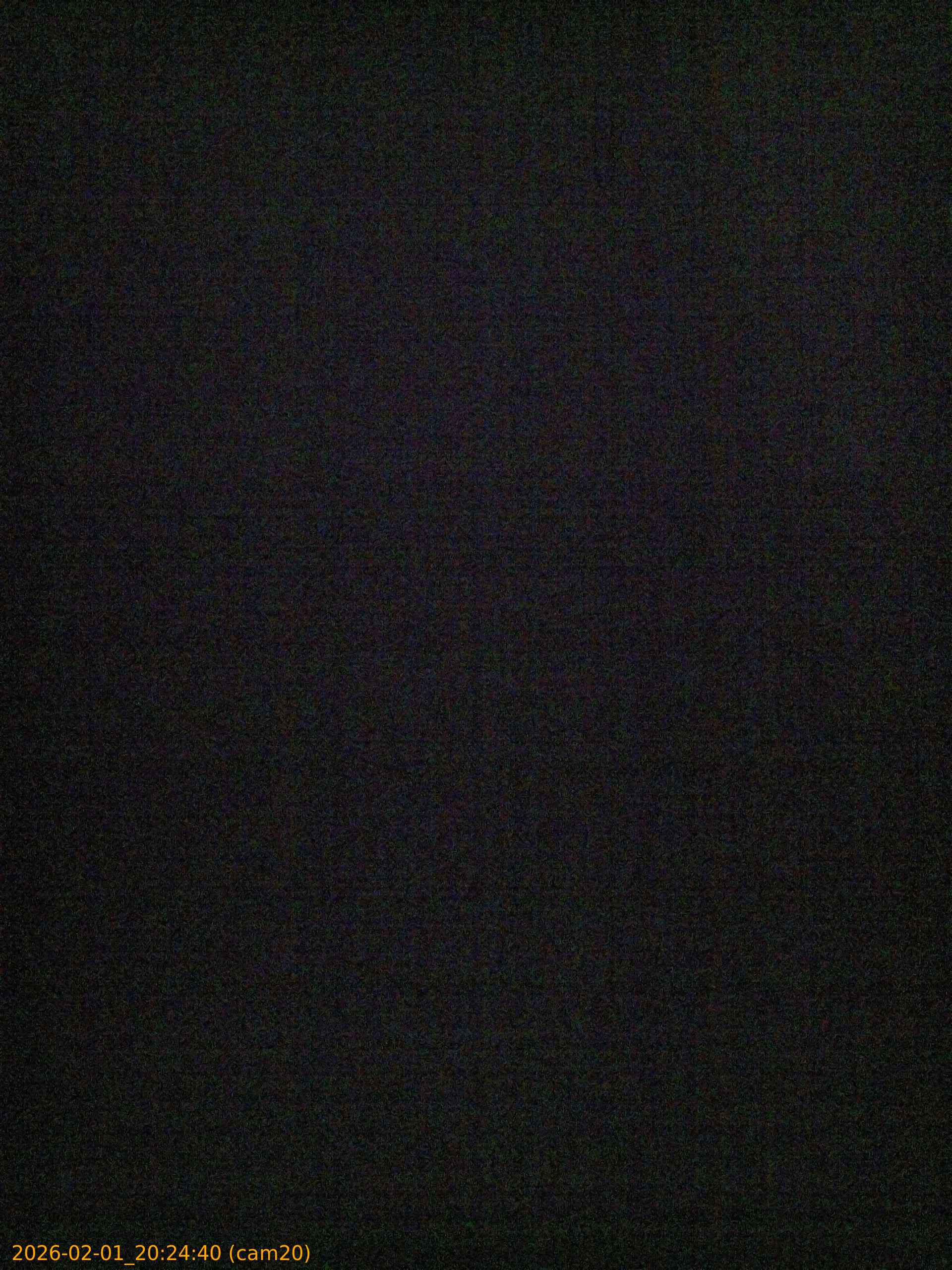 thumbnail_20260201202440