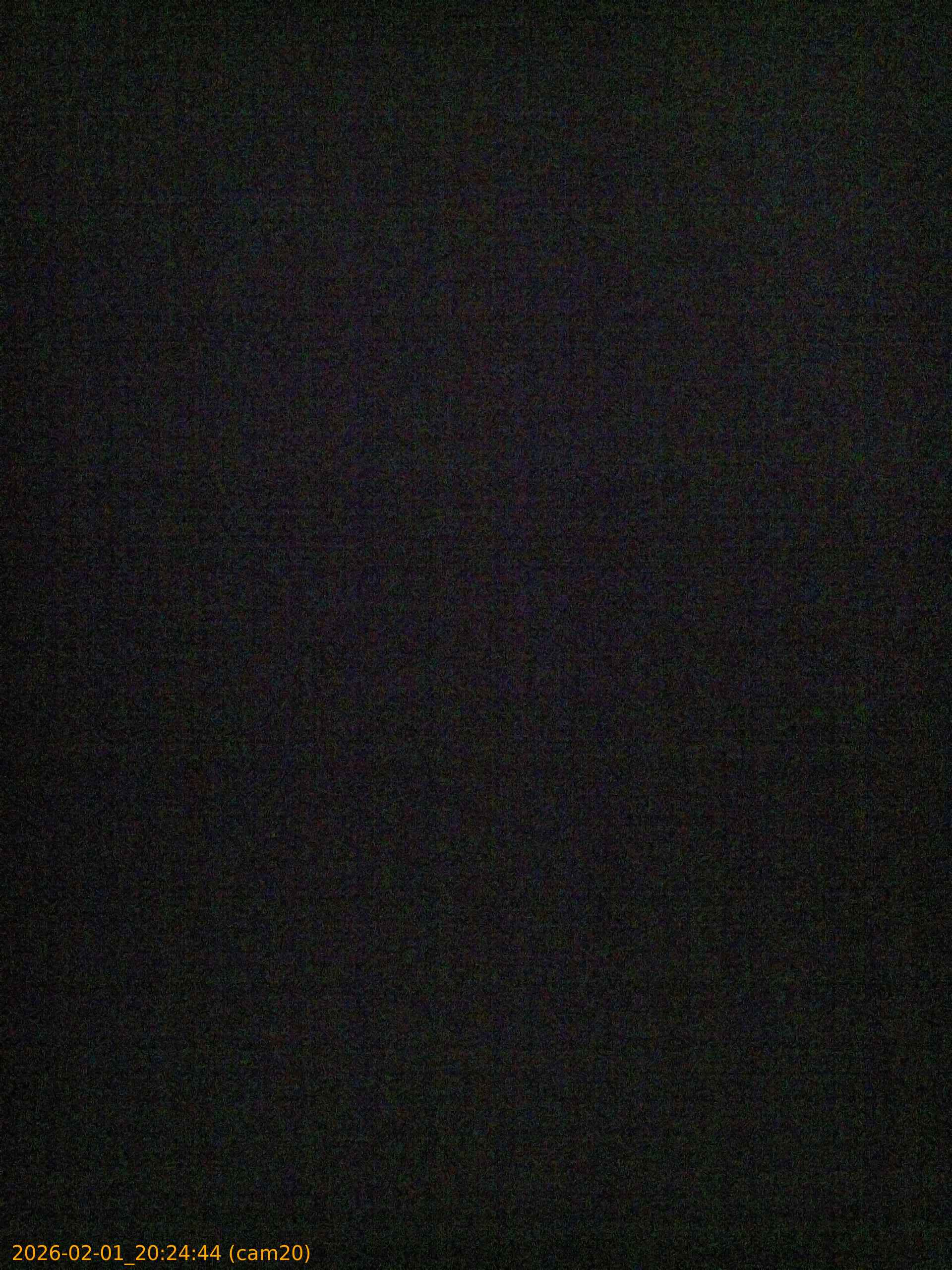 thumbnail_20260201202444