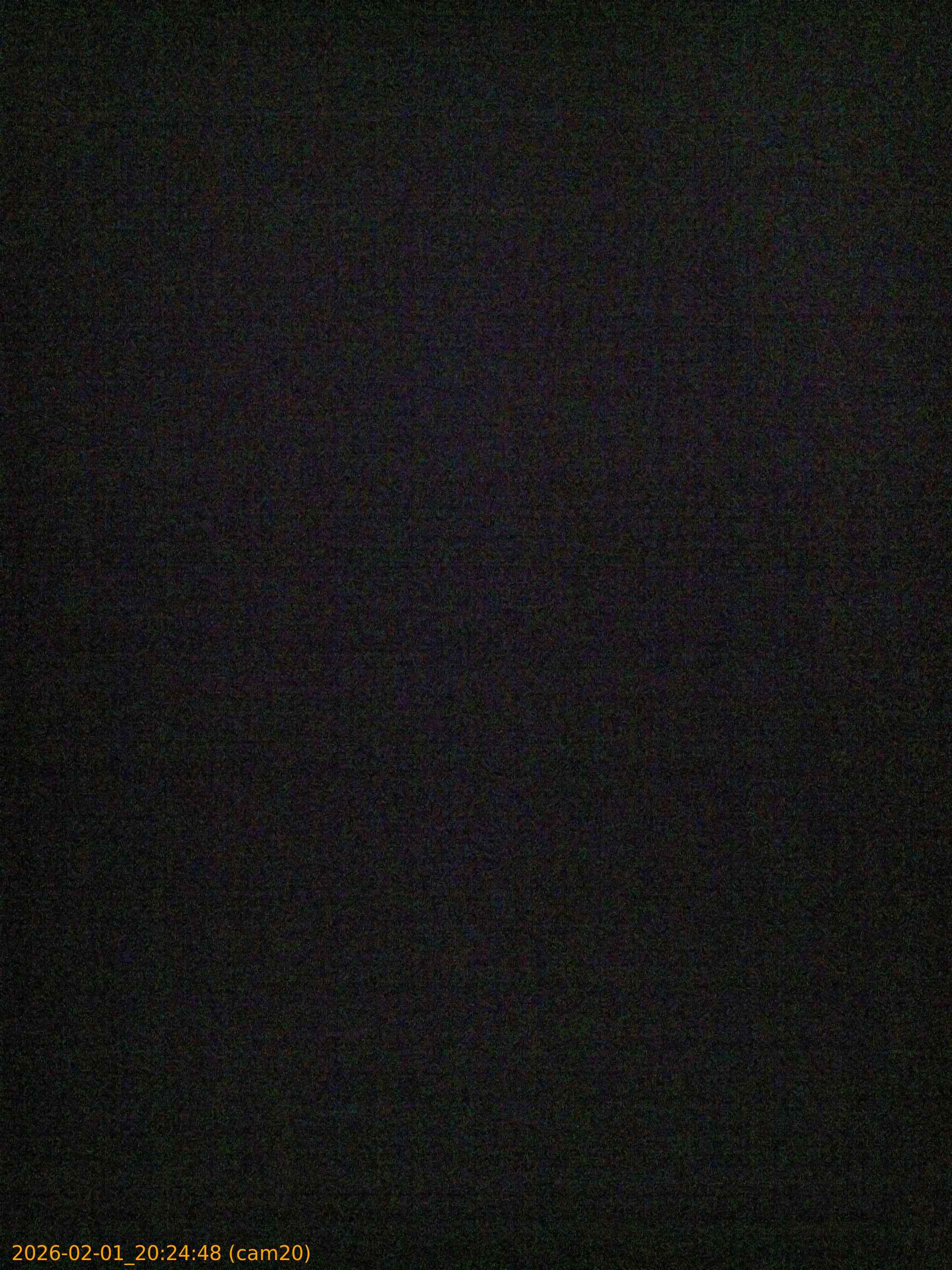 thumbnail_20260201202448