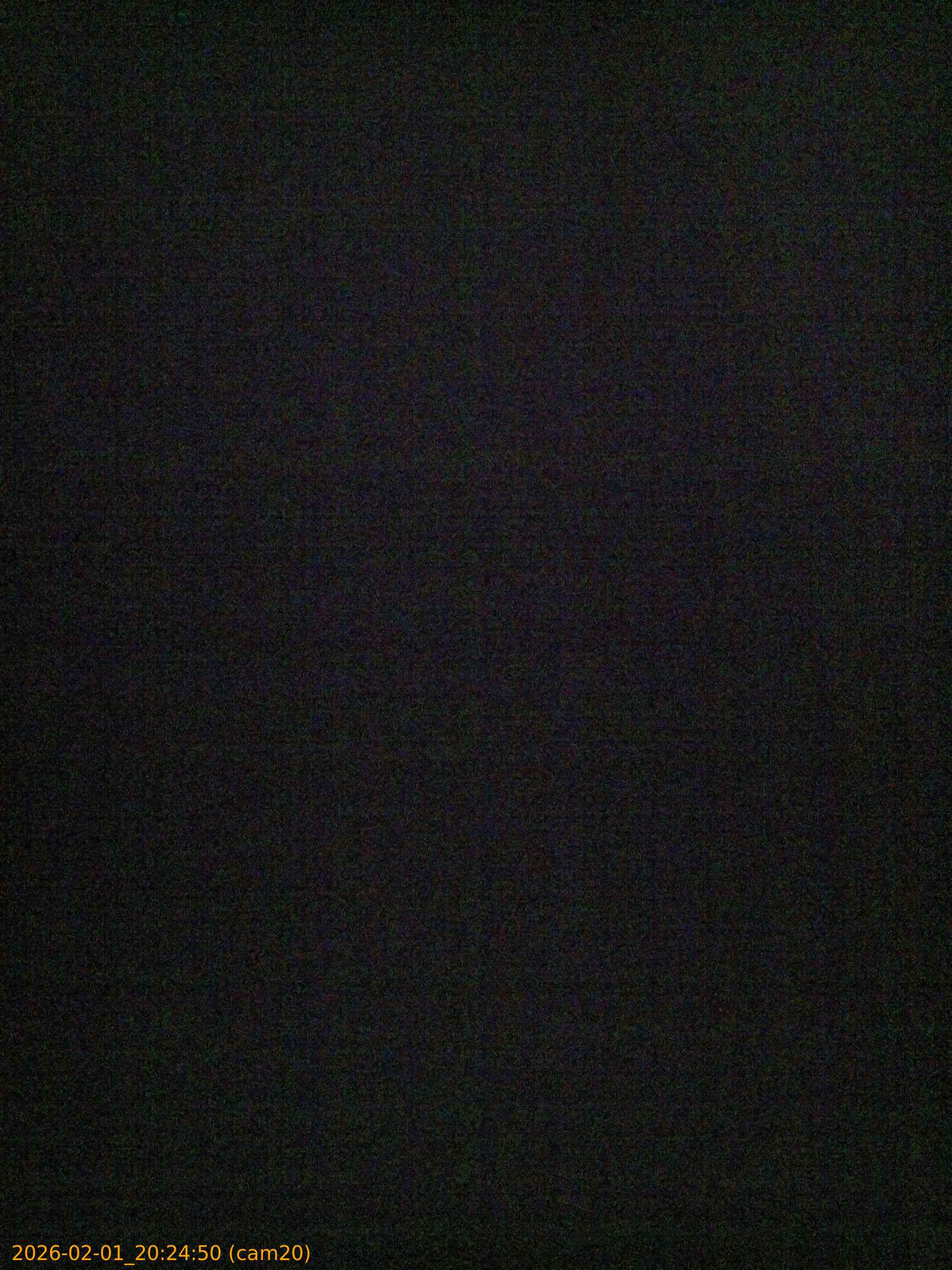 thumbnail_20260201202450