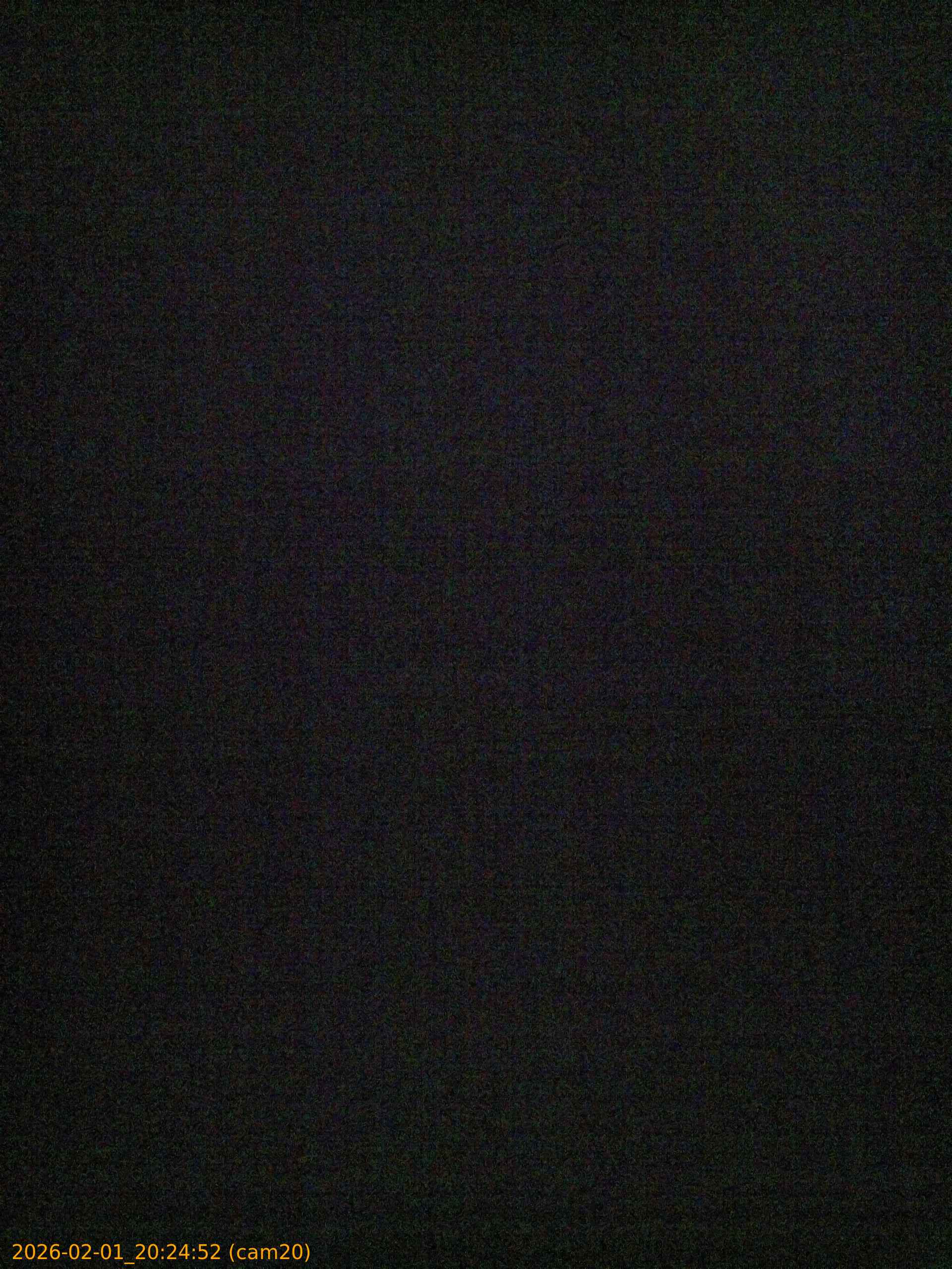 thumbnail_20260201202452