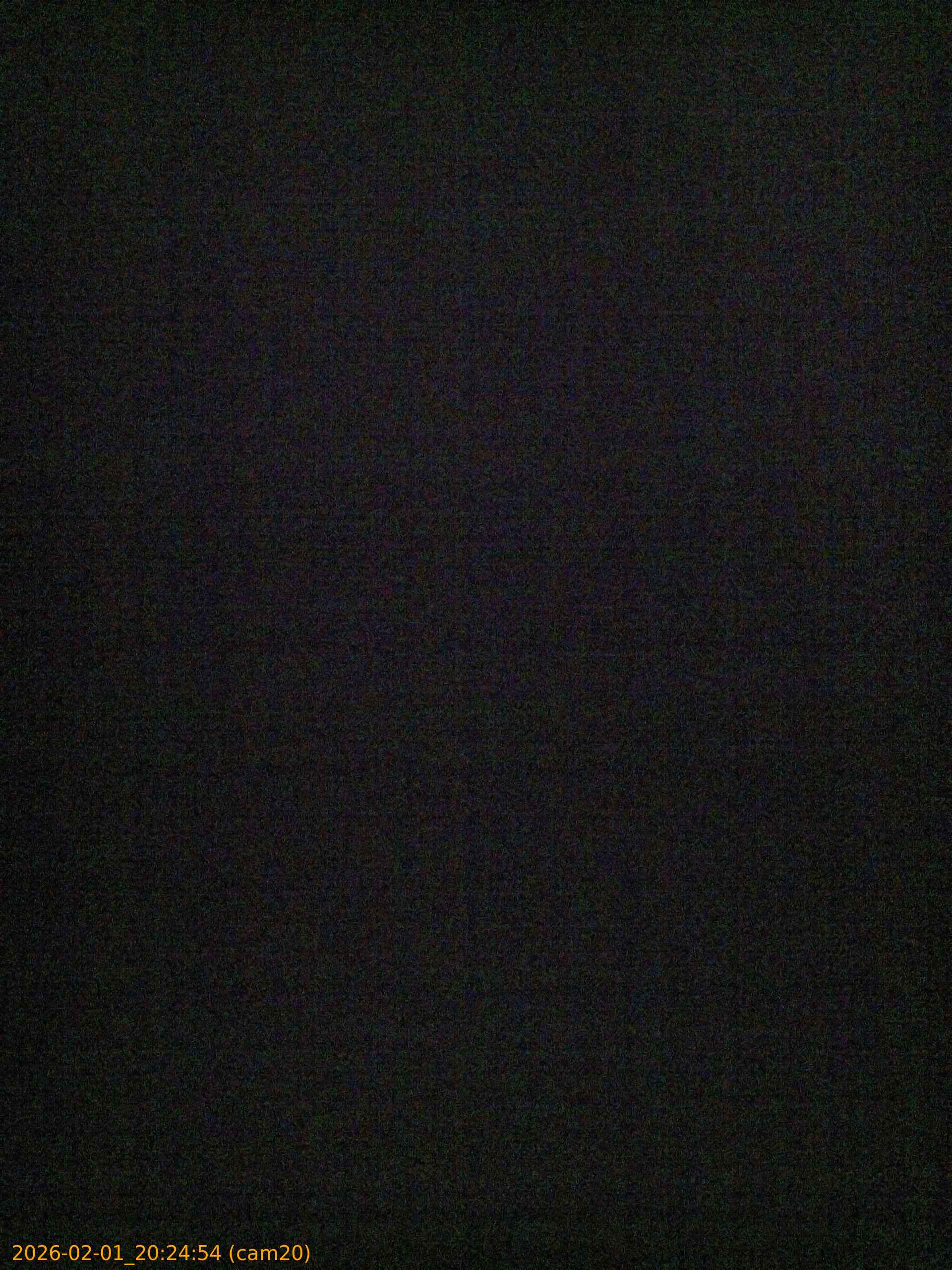 thumbnail_20260201202454