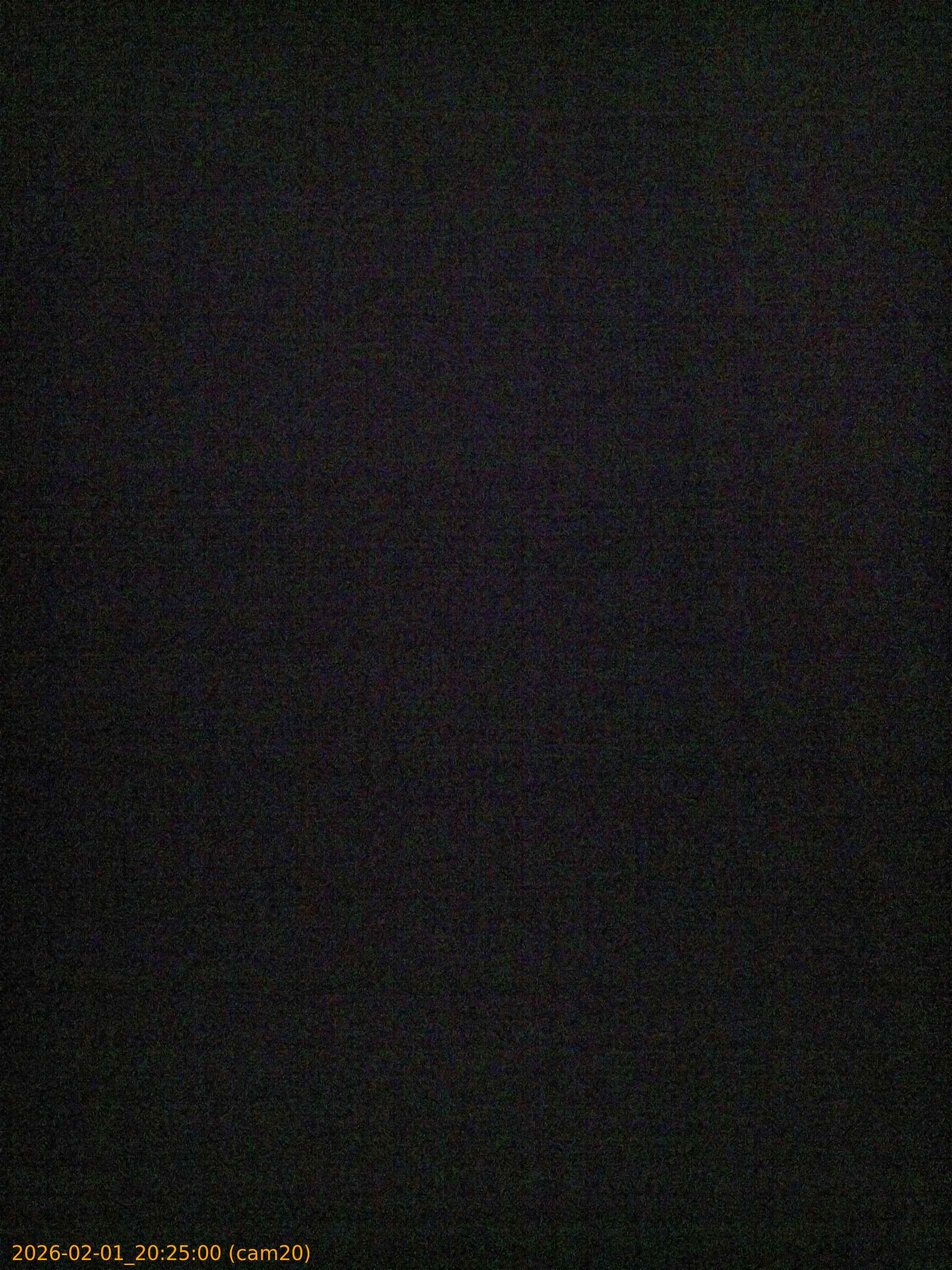 thumbnail_20260201202500