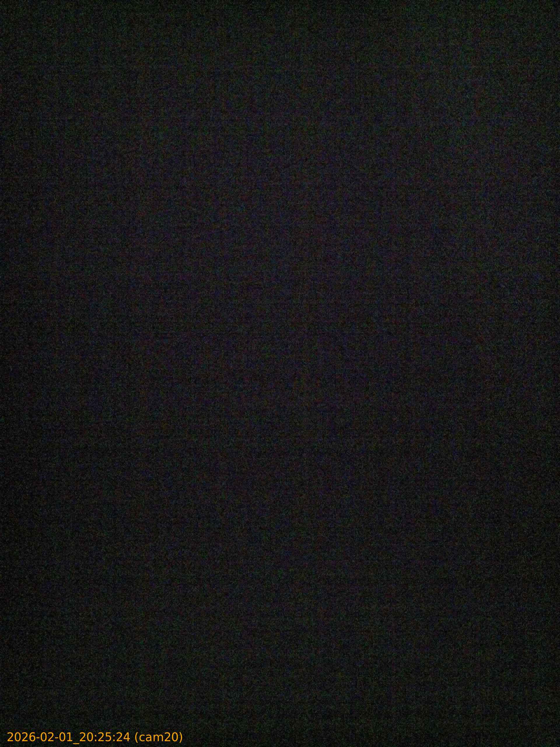 thumbnail_20260201202524