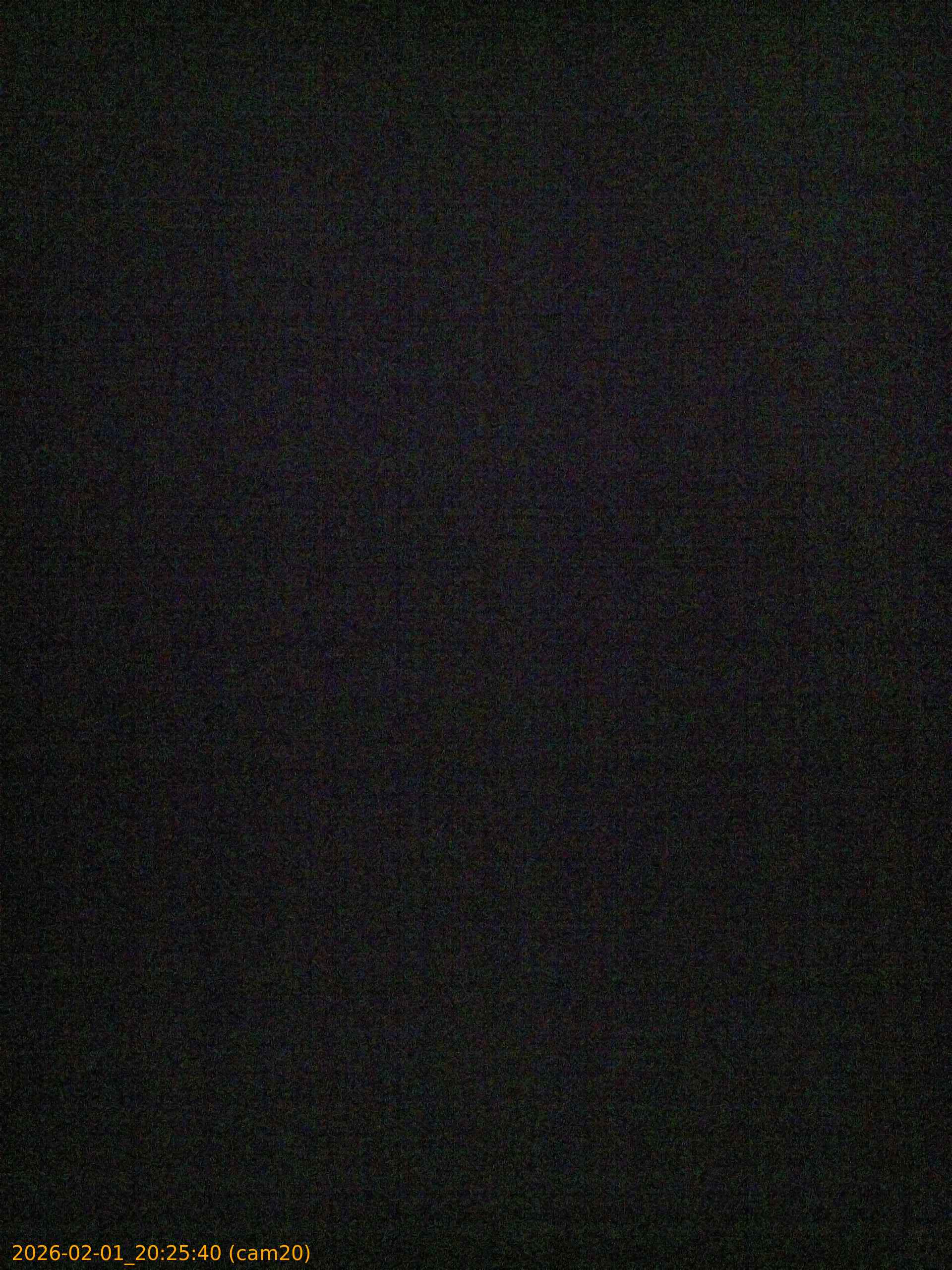 thumbnail_20260201202540