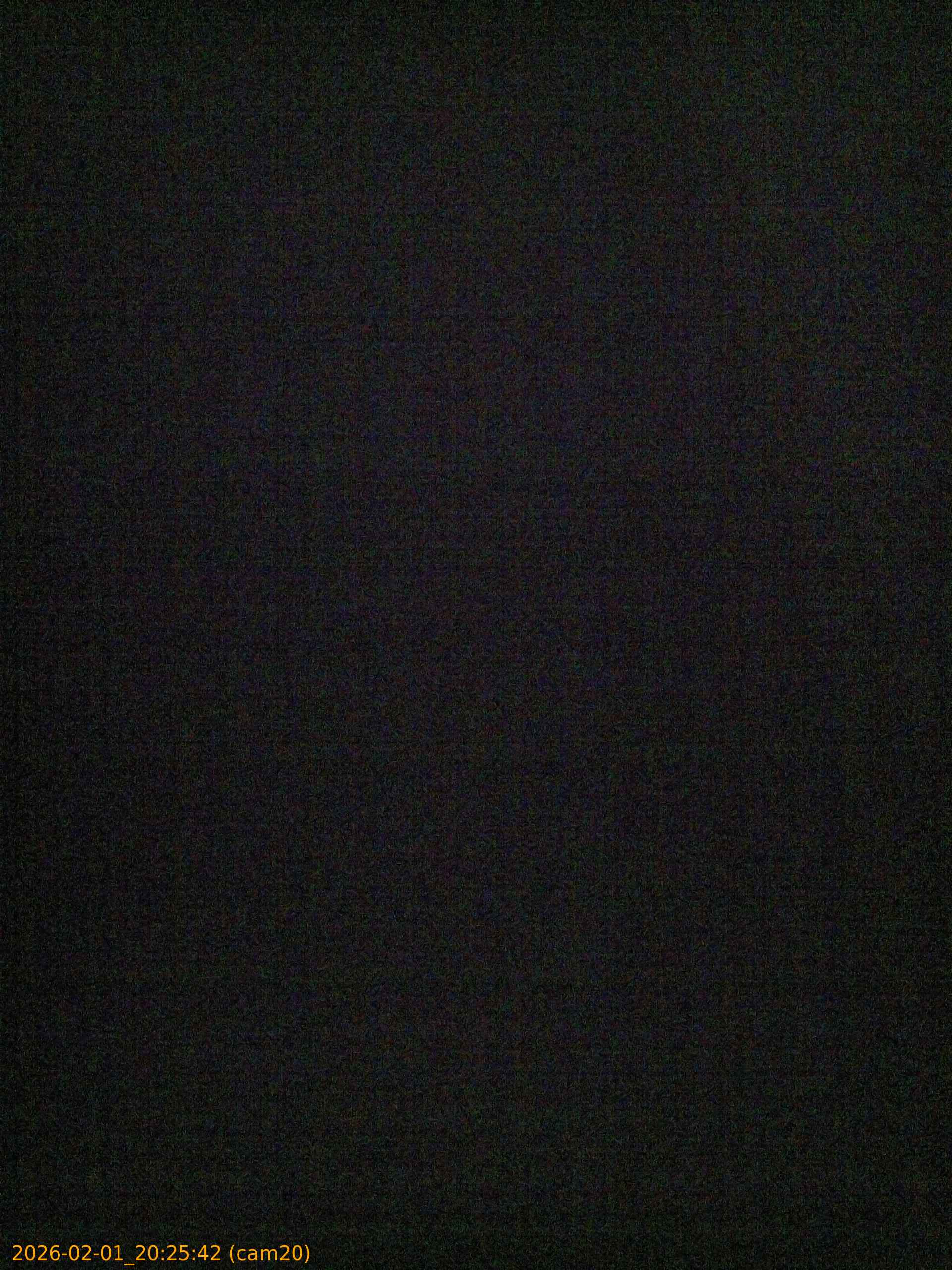 thumbnail_20260201202542