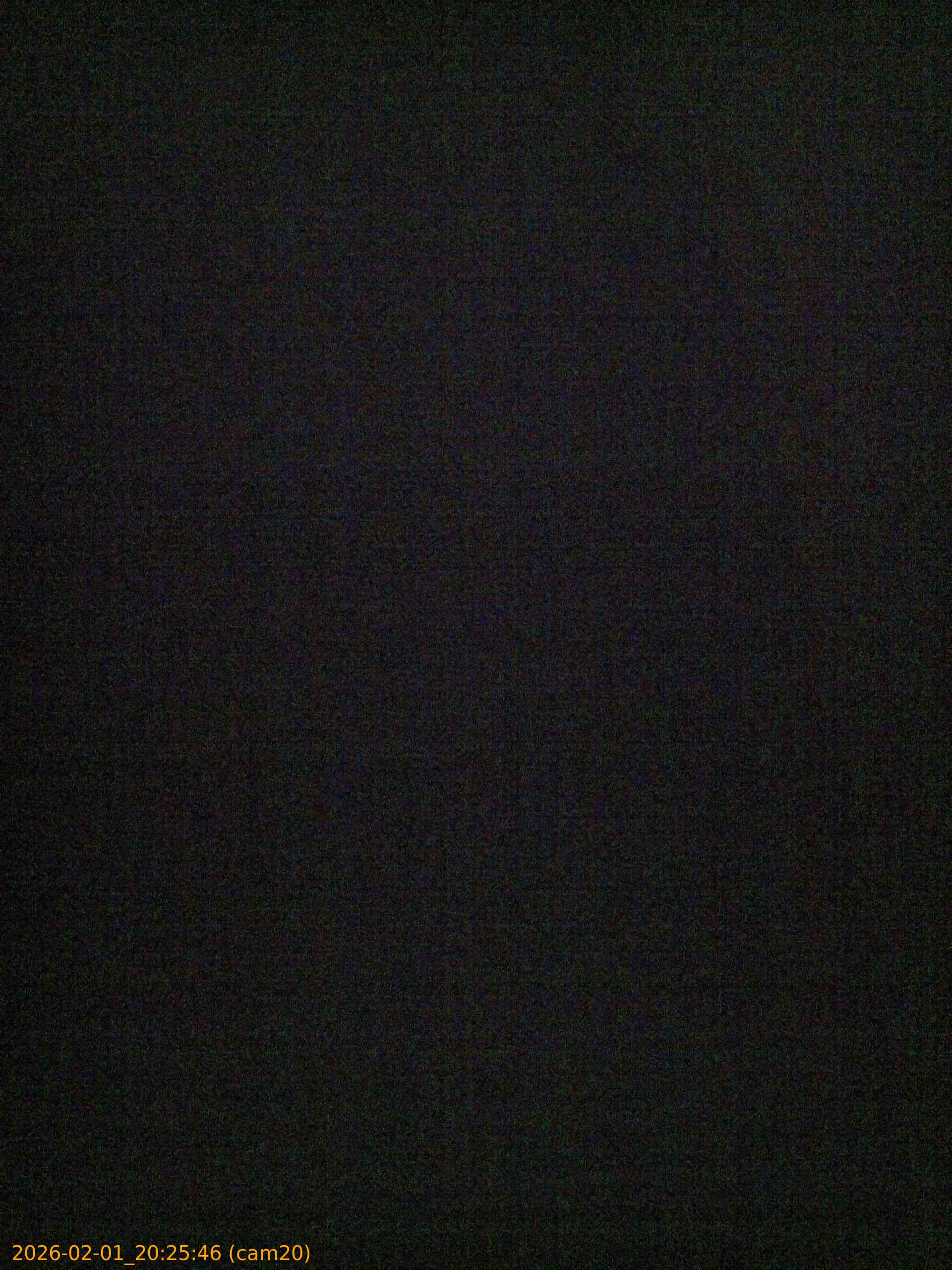 thumbnail_20260201202546