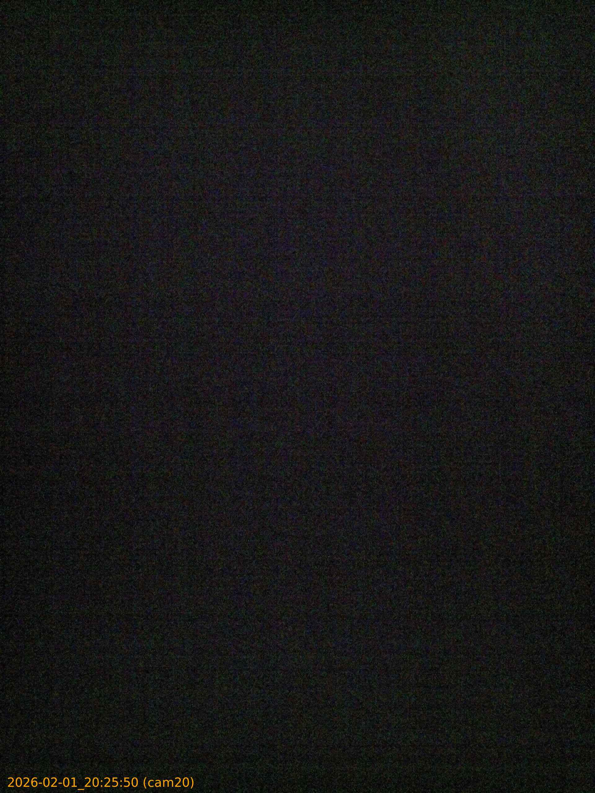 thumbnail_20260201202550