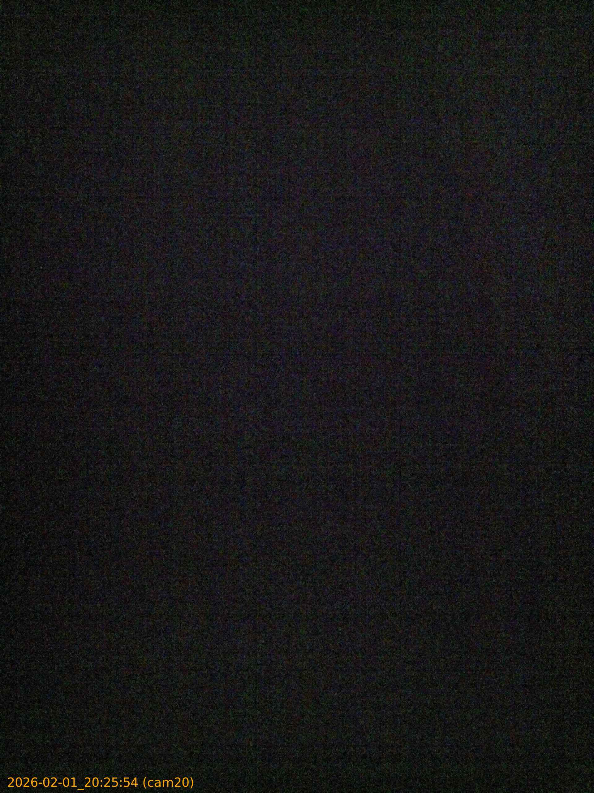 thumbnail_20260201202554