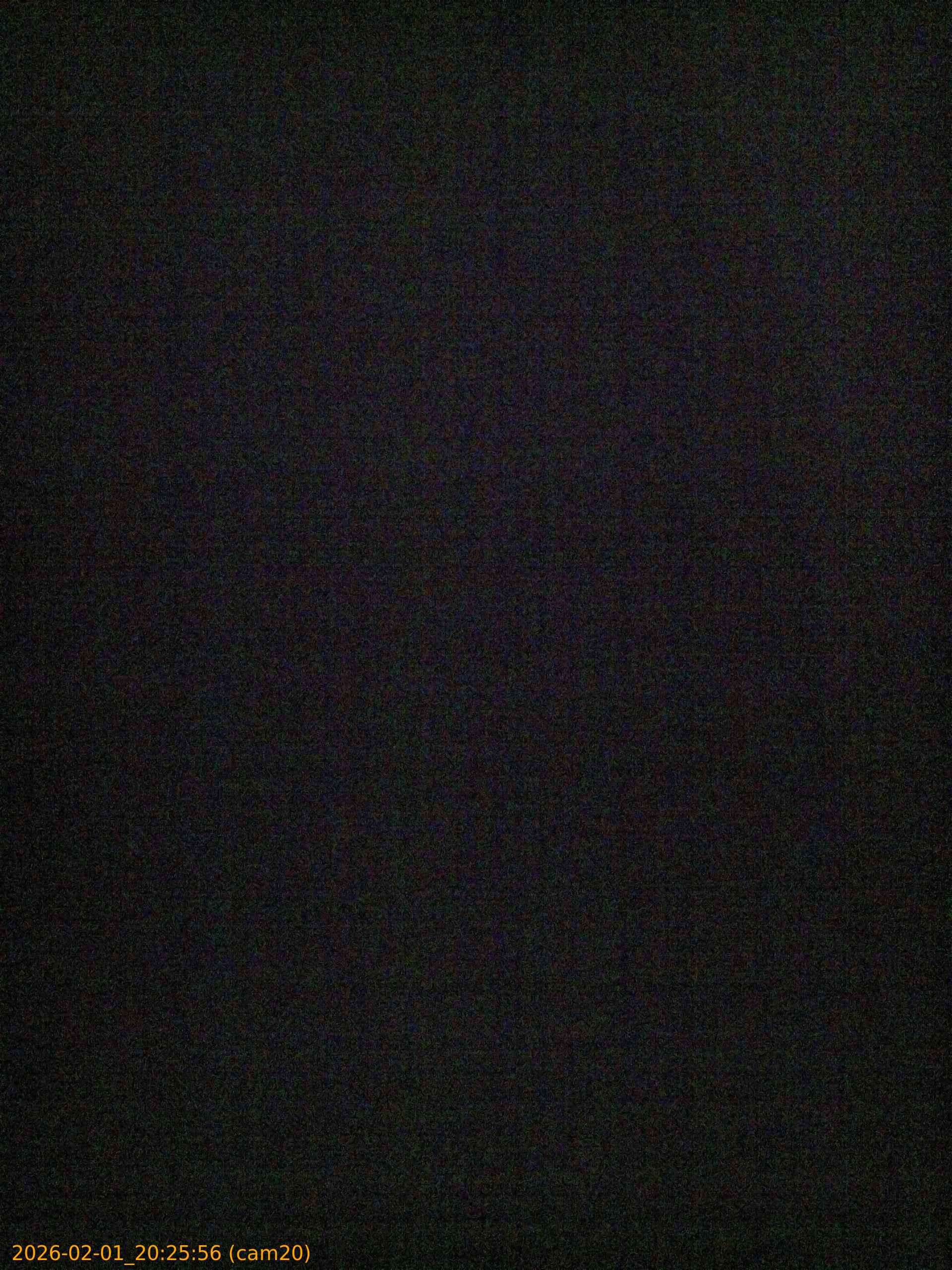 thumbnail_20260201202556