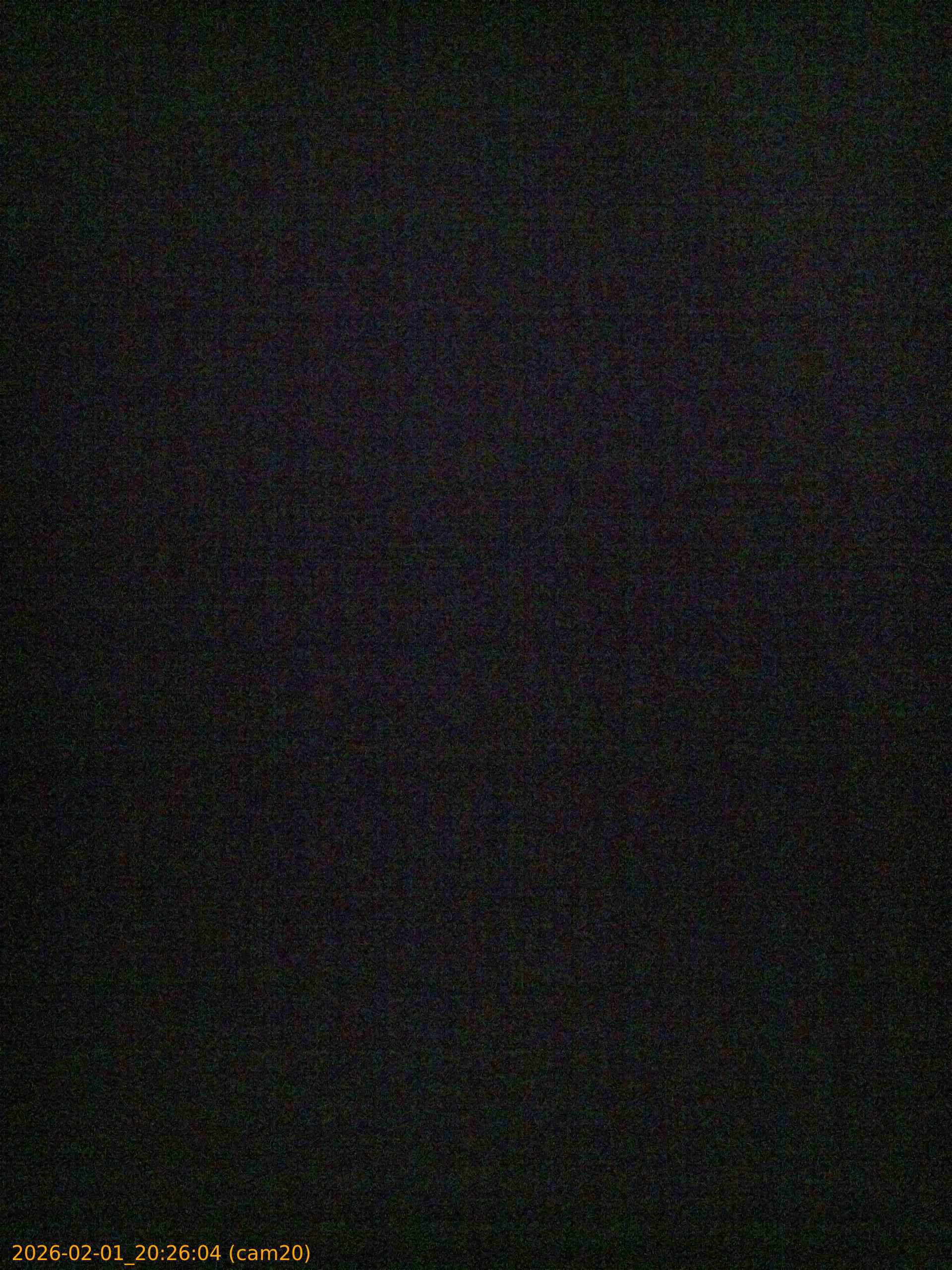 thumbnail_20260201202604