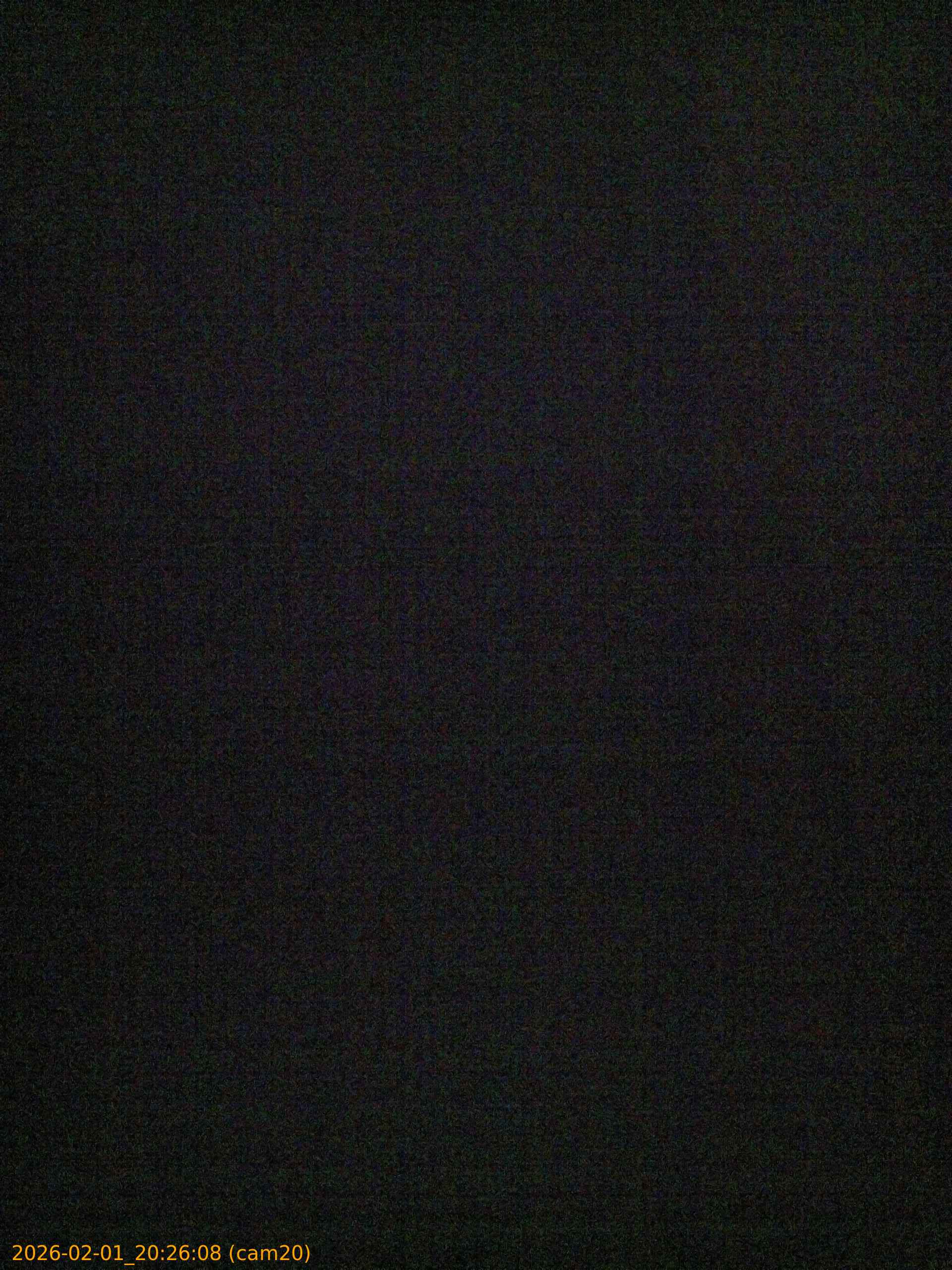 thumbnail_20260201202608