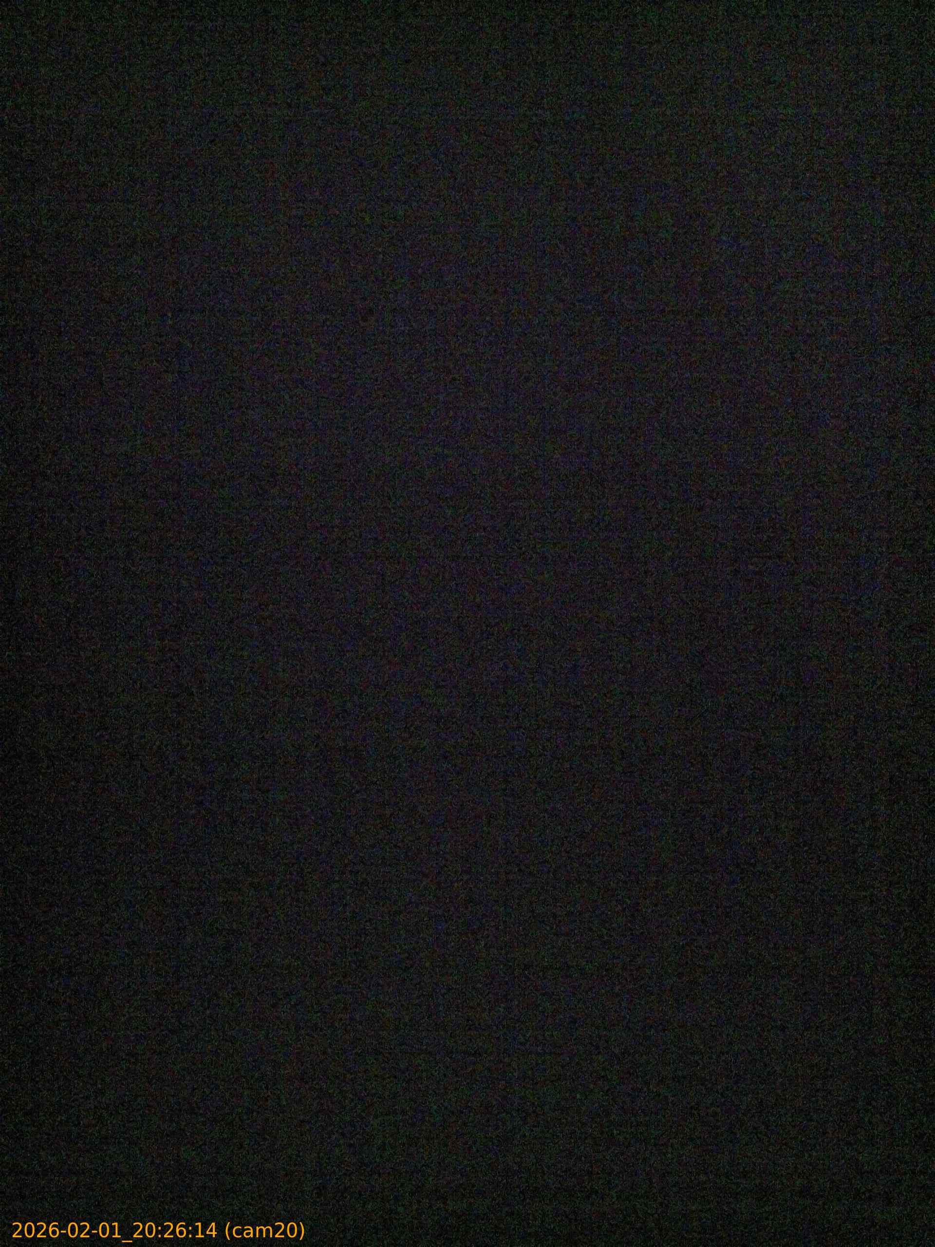 thumbnail_20260201202614