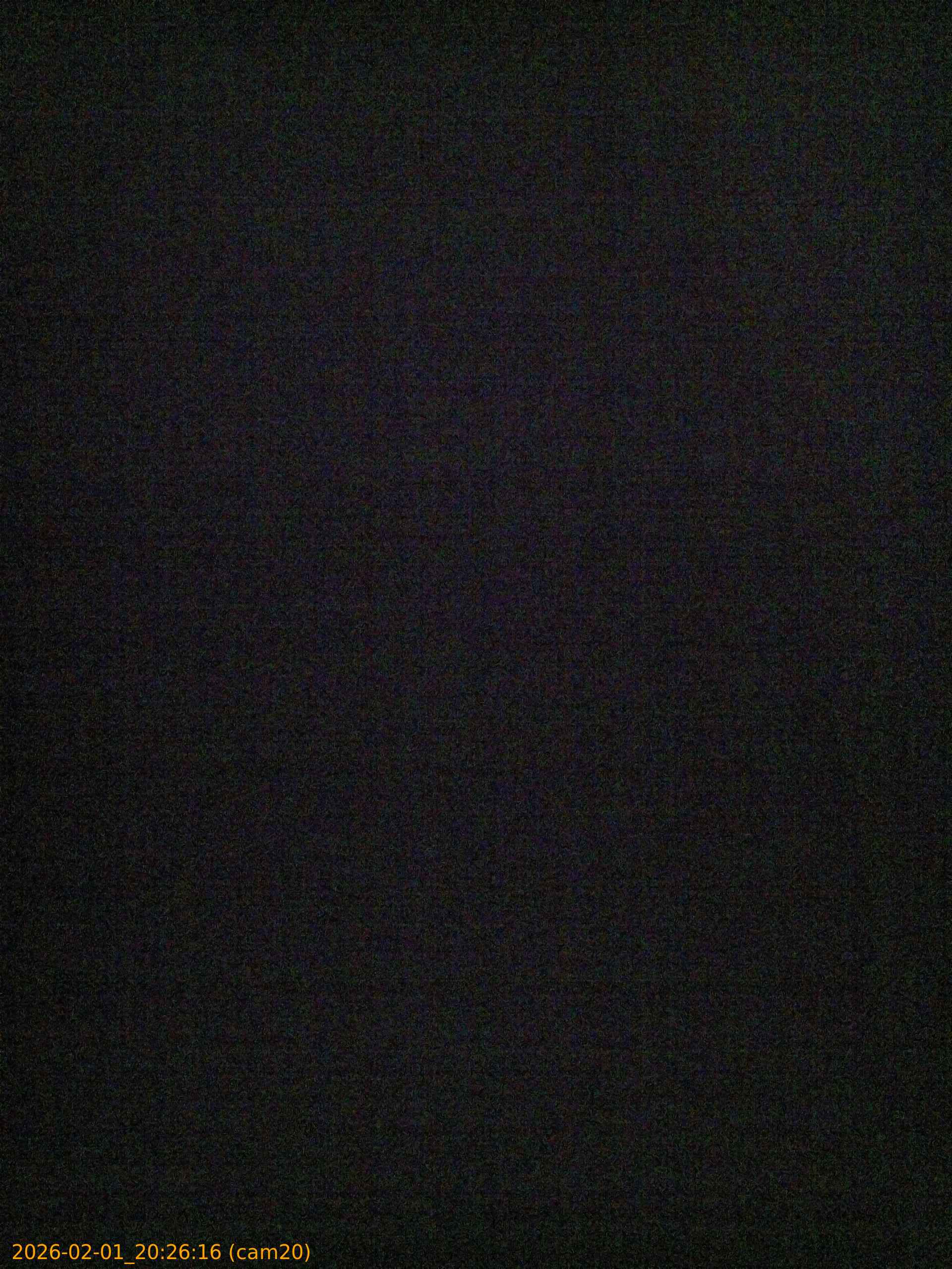 thumbnail_20260201202616