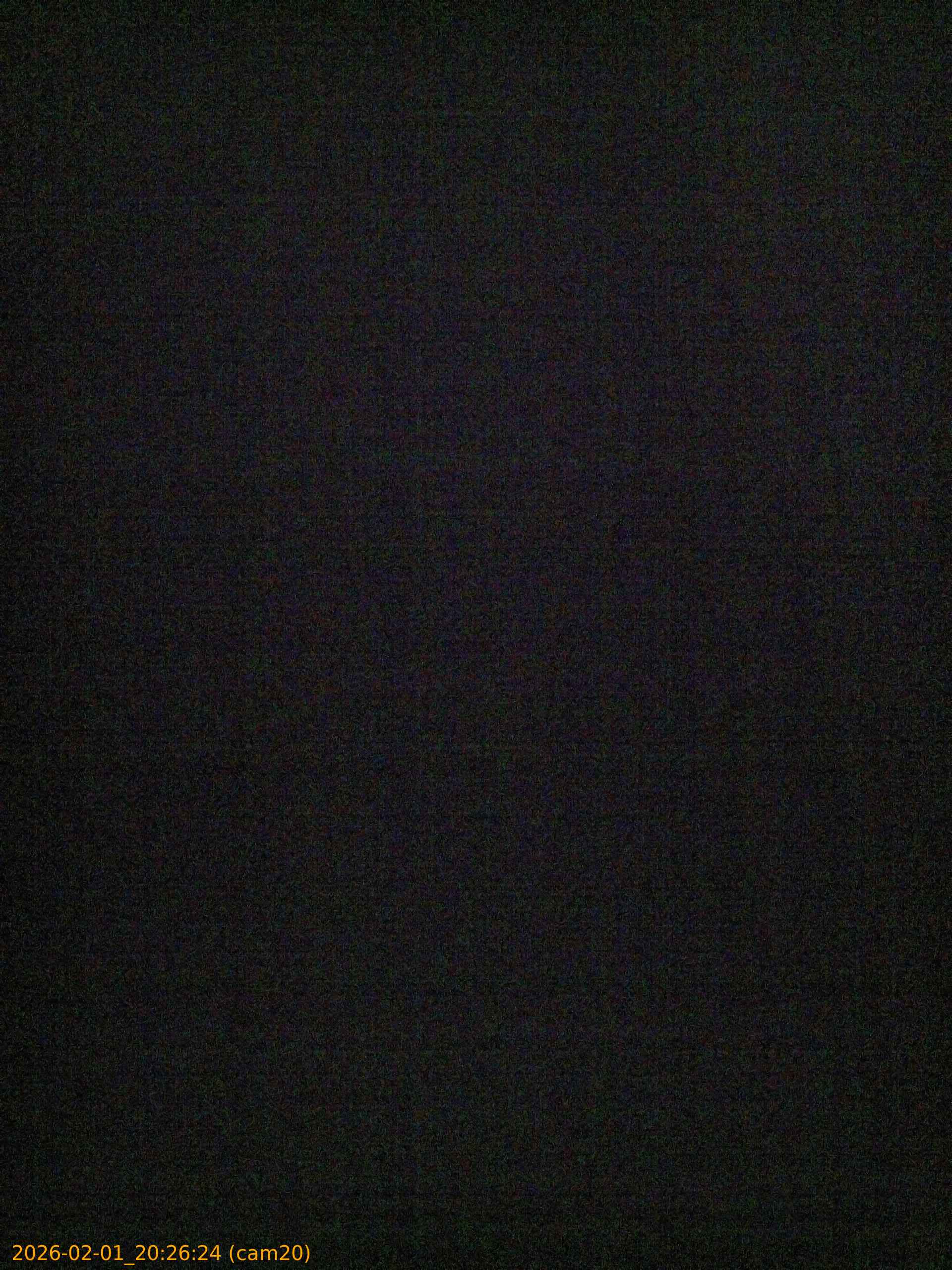 thumbnail_20260201202624