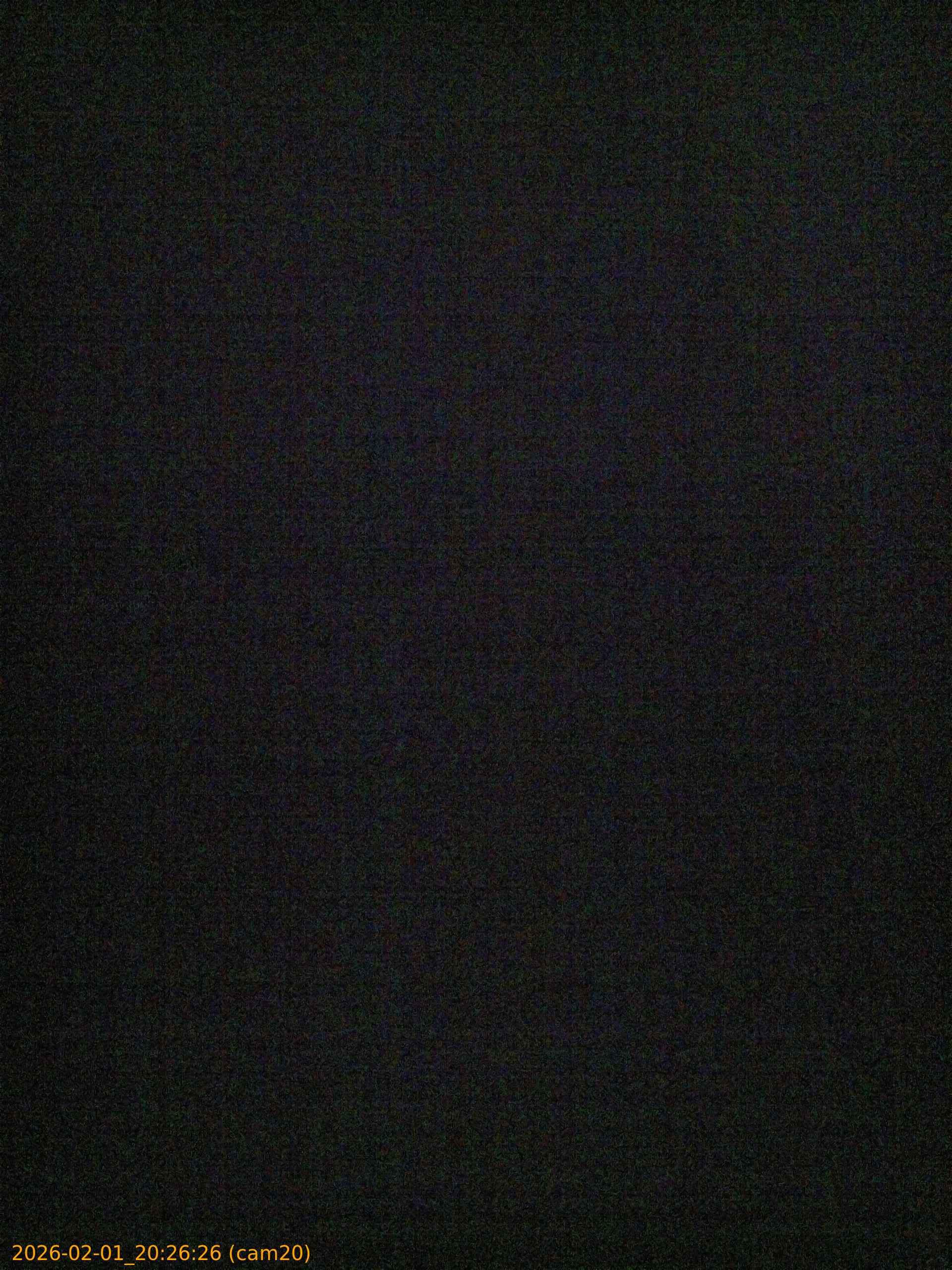 thumbnail_20260201202626