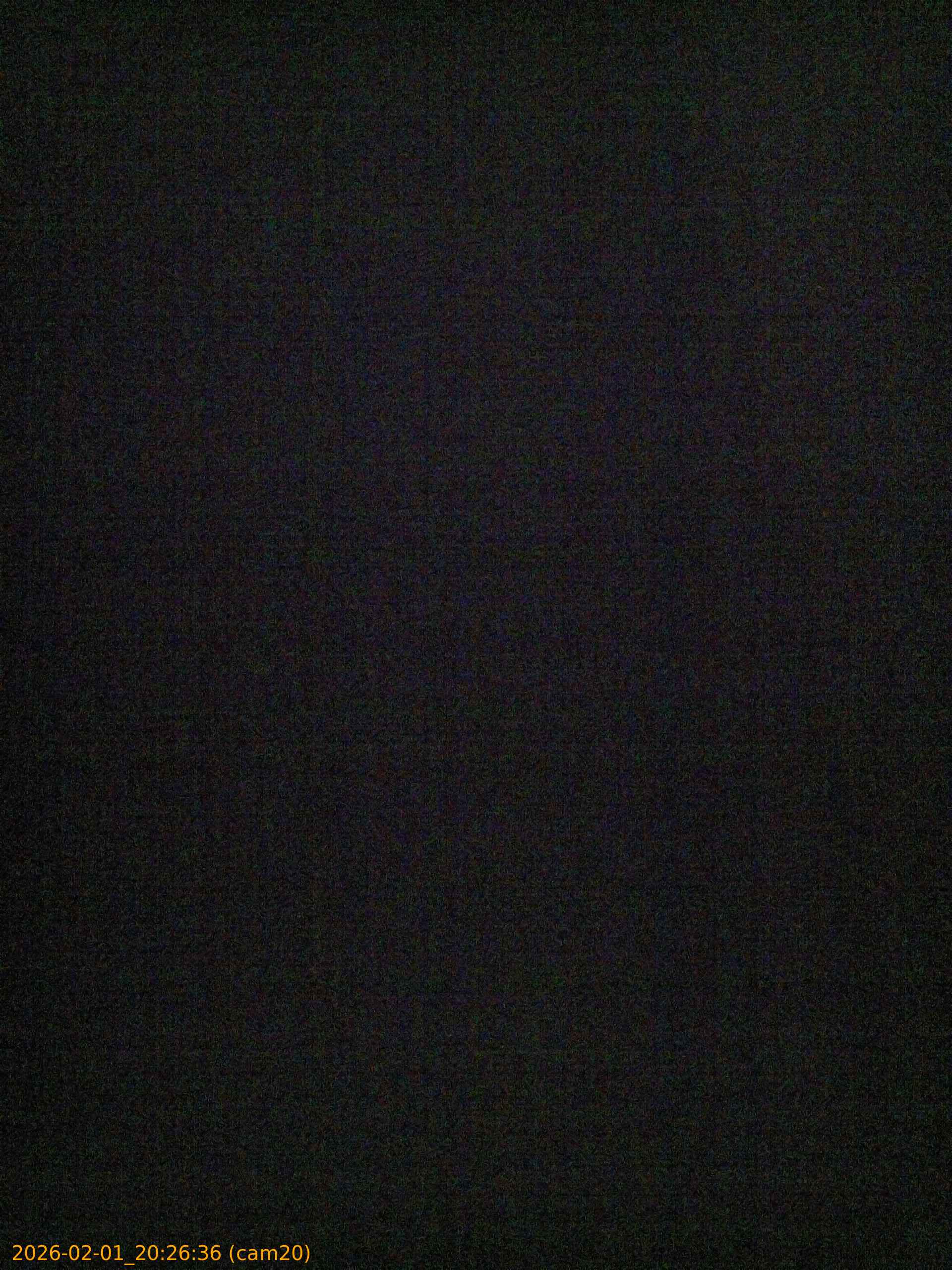 thumbnail_20260201202636