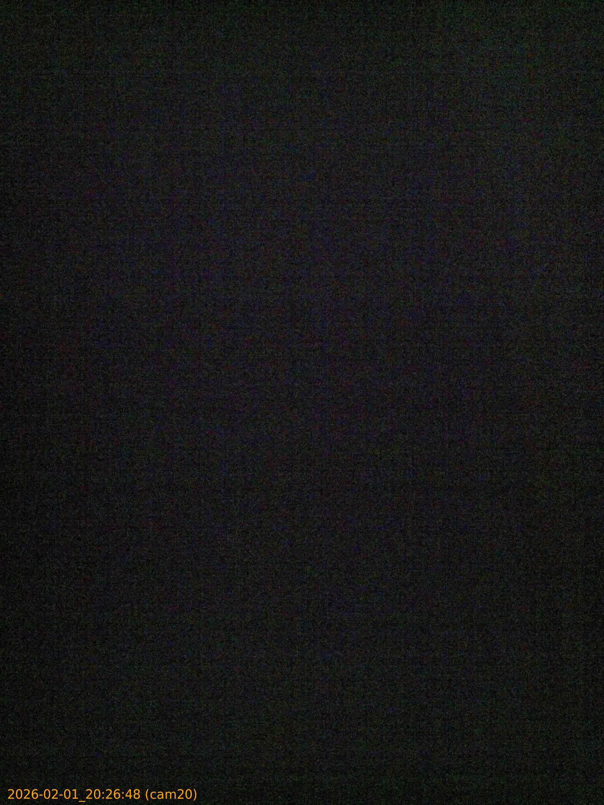 thumbnail_20260201202648