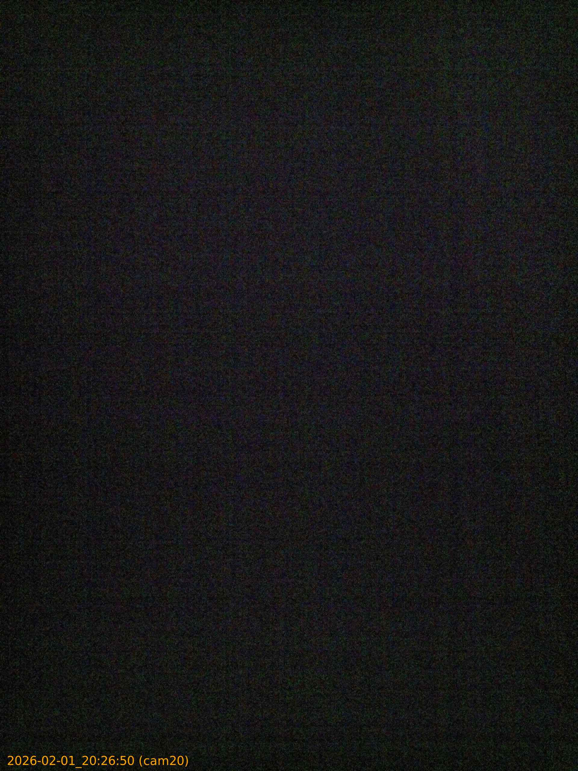 thumbnail_20260201202650