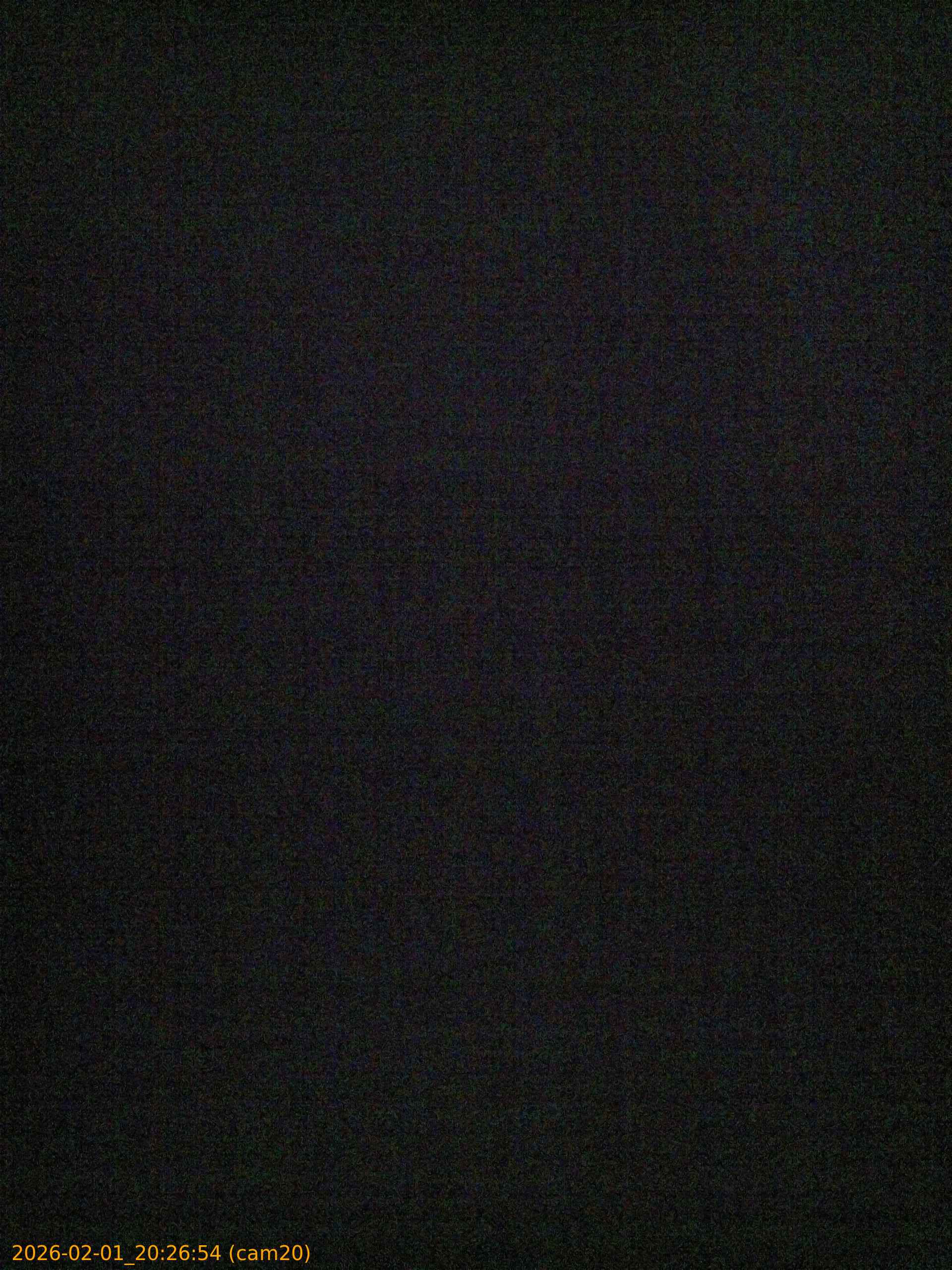 thumbnail_20260201202654