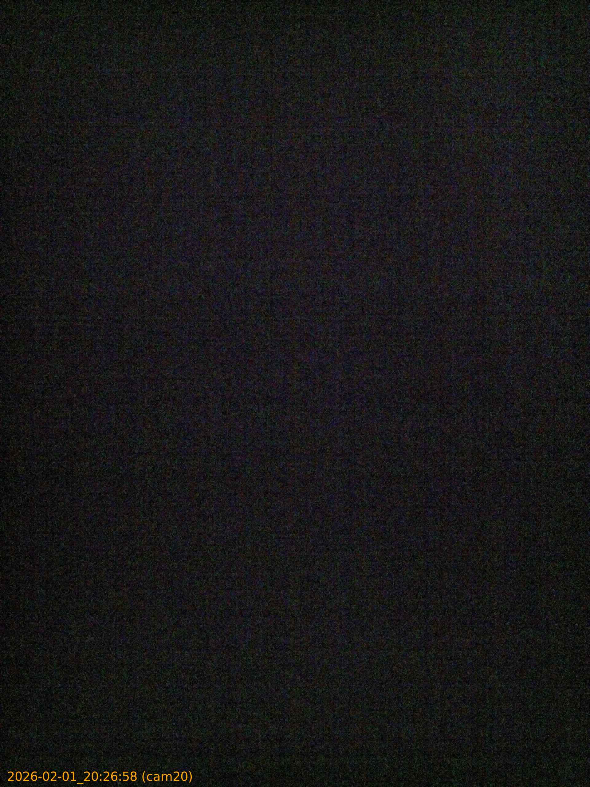 thumbnail_20260201202658