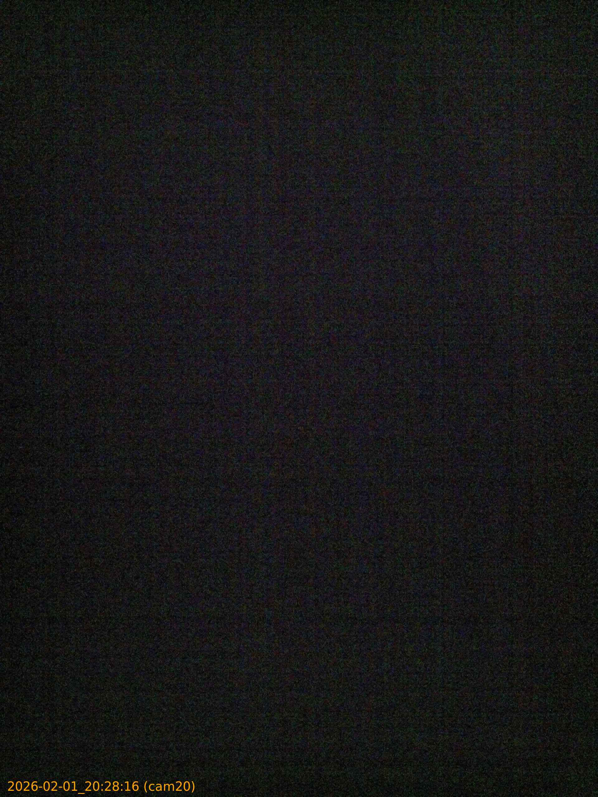 thumbnail_20260201202816