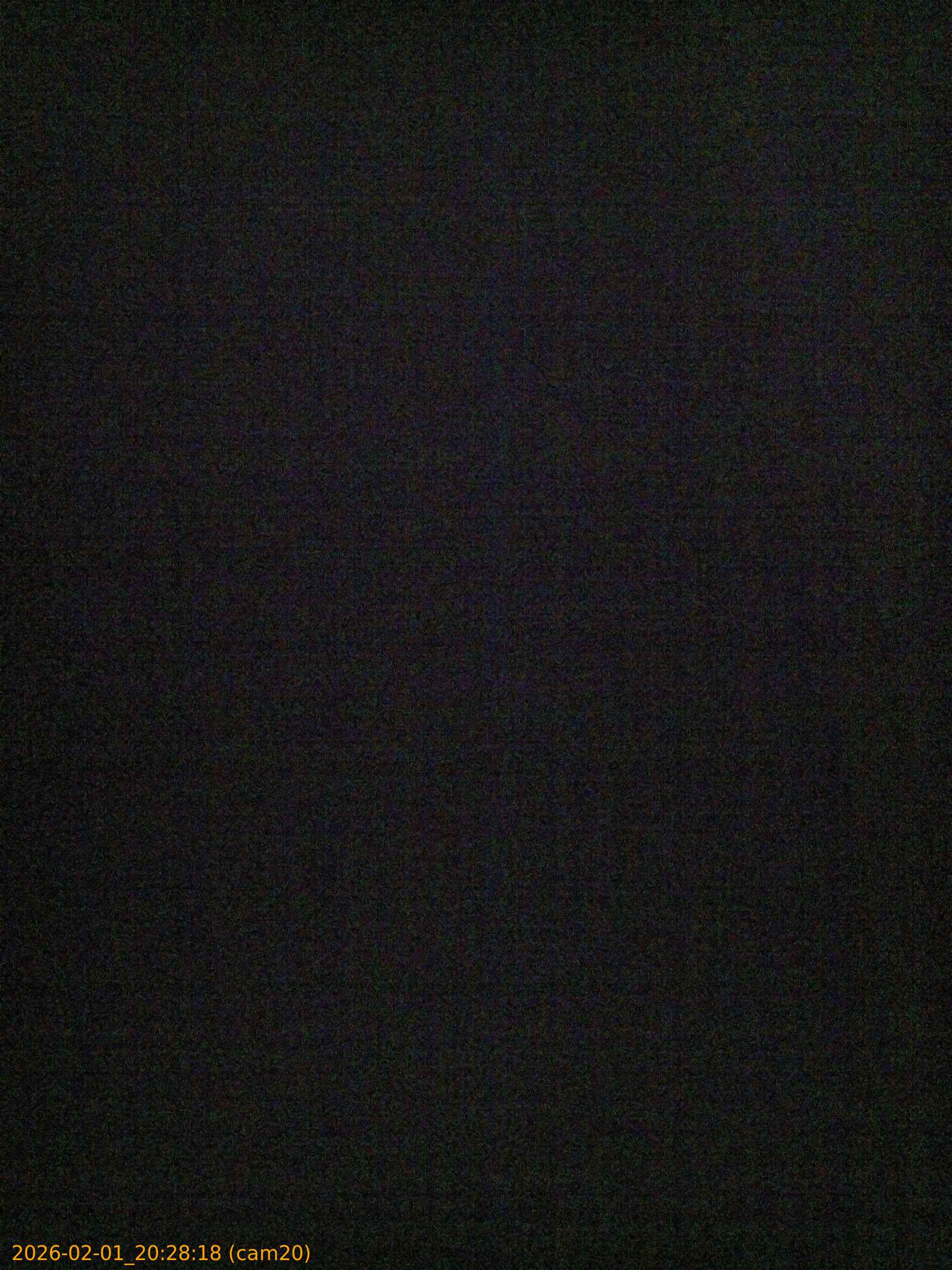 thumbnail_20260201202818