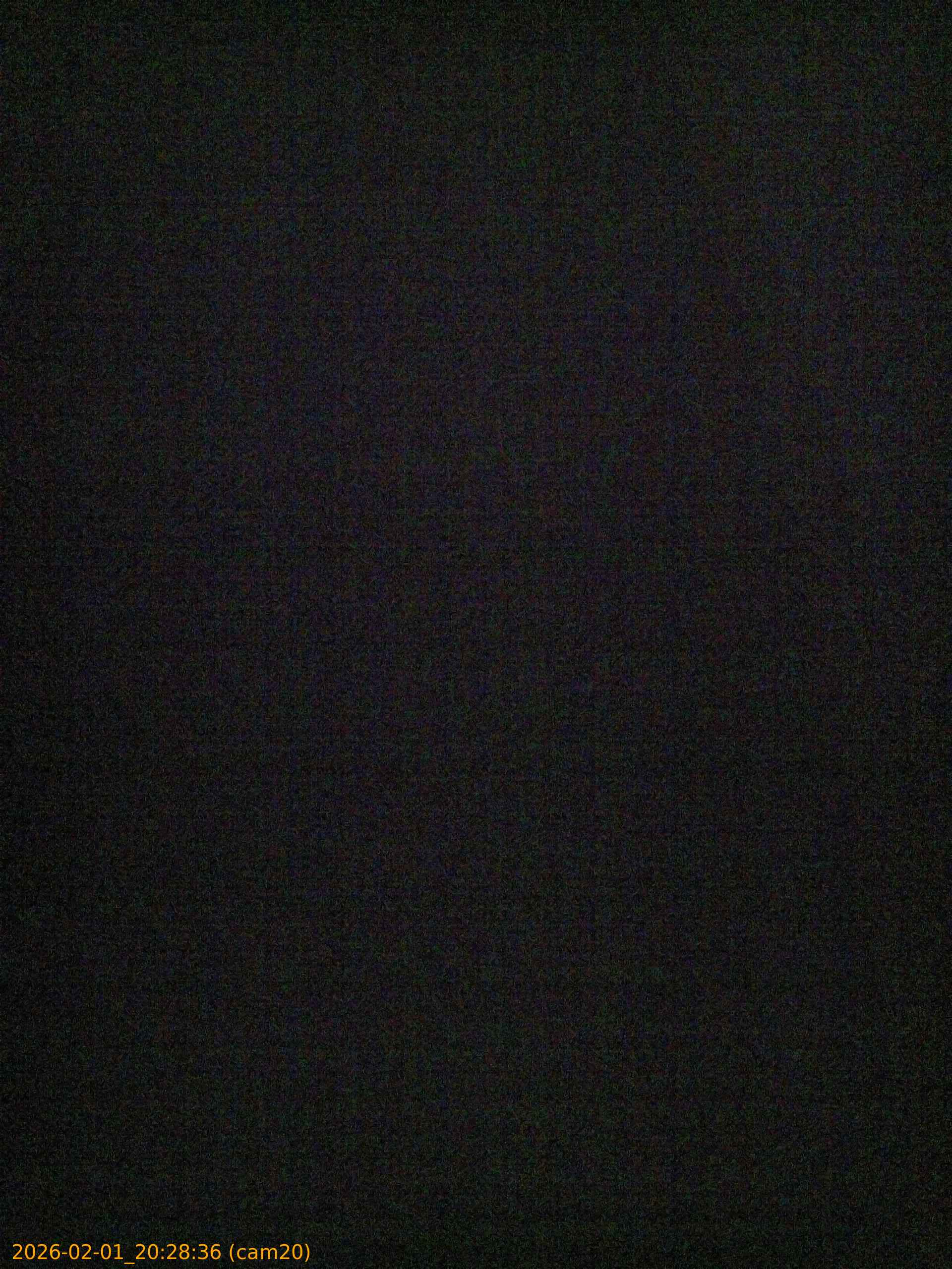 thumbnail_20260201202836