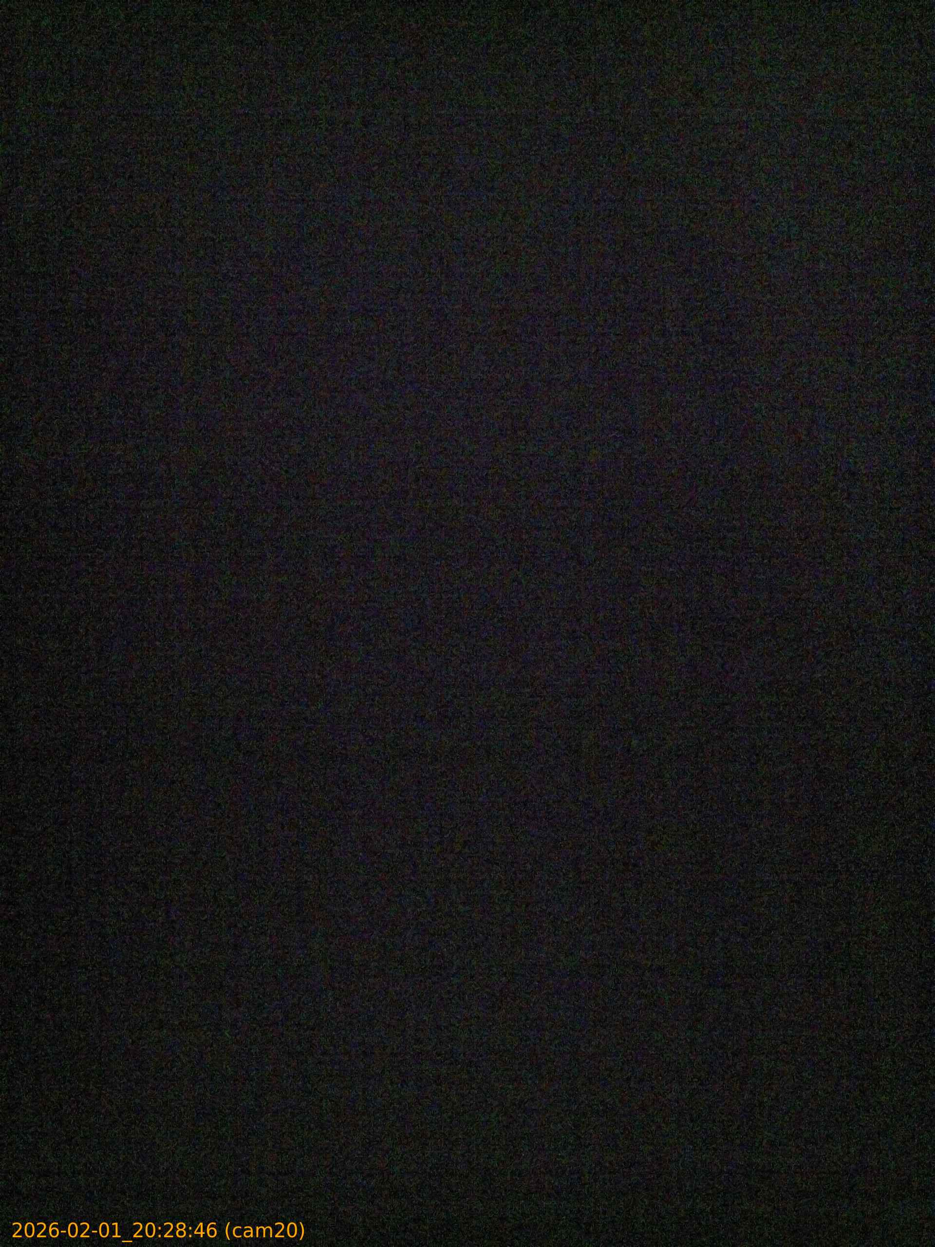 thumbnail_20260201202846