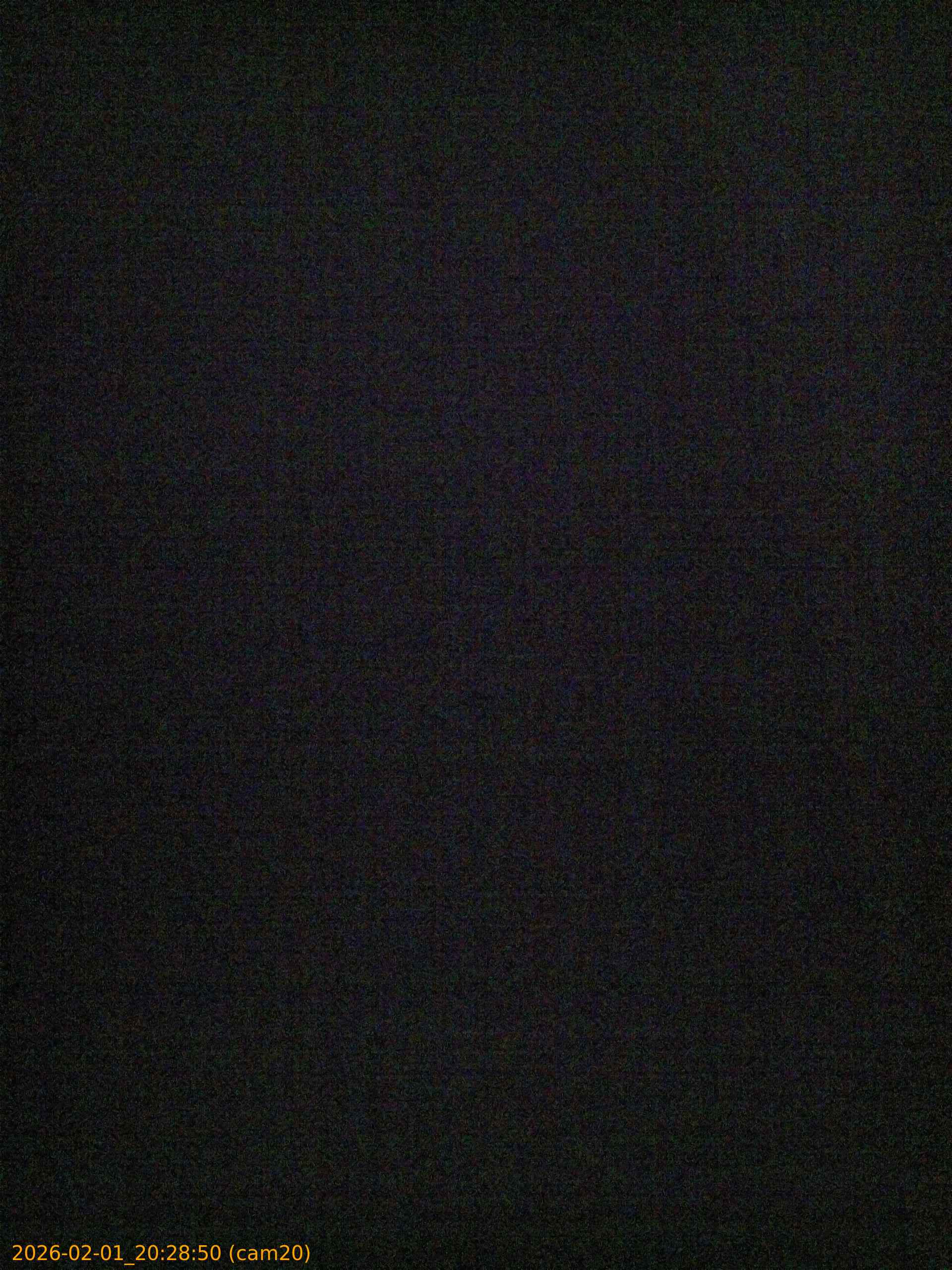 thumbnail_20260201202850