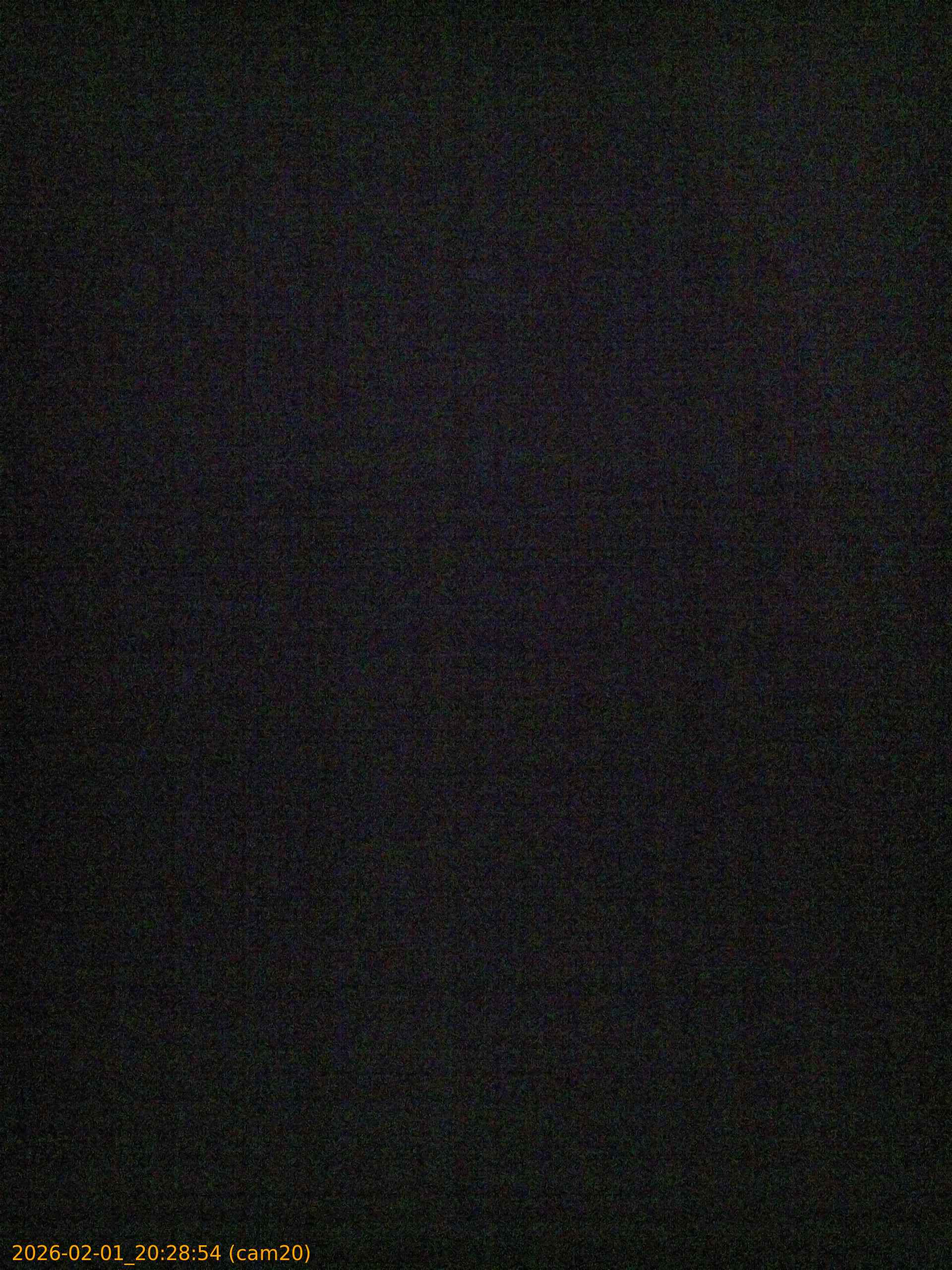 thumbnail_20260201202854