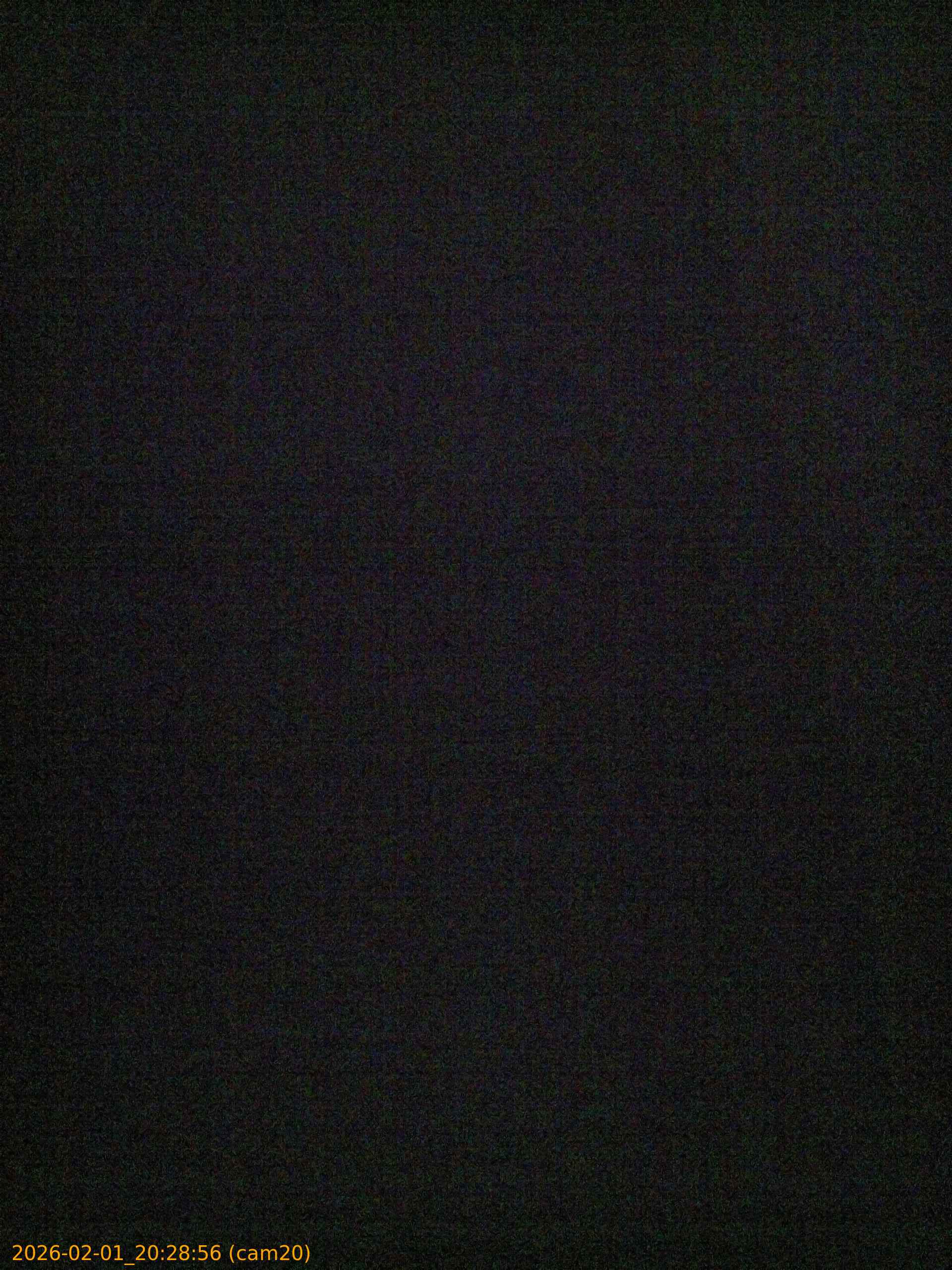 thumbnail_20260201202856