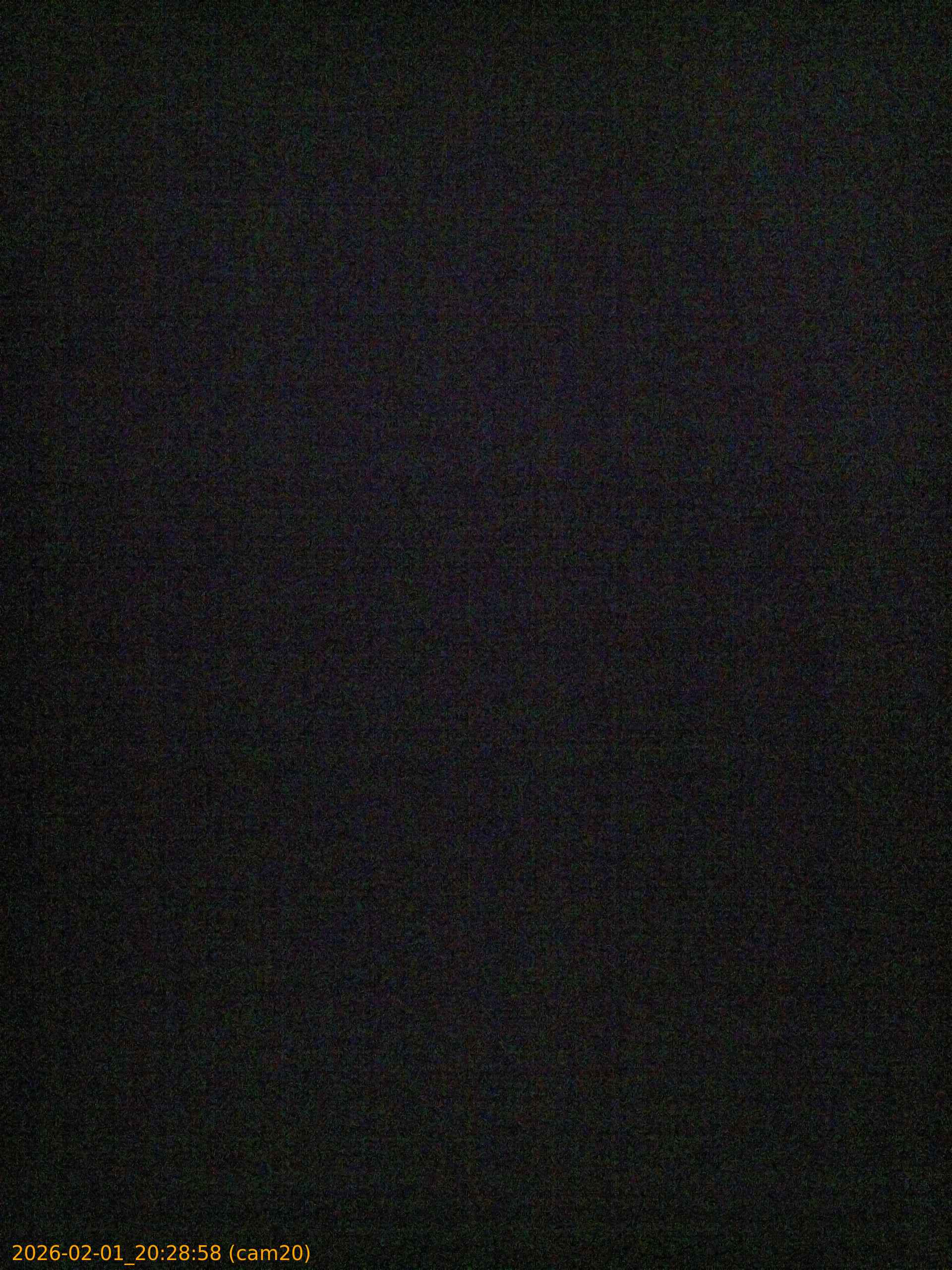 thumbnail_20260201202858